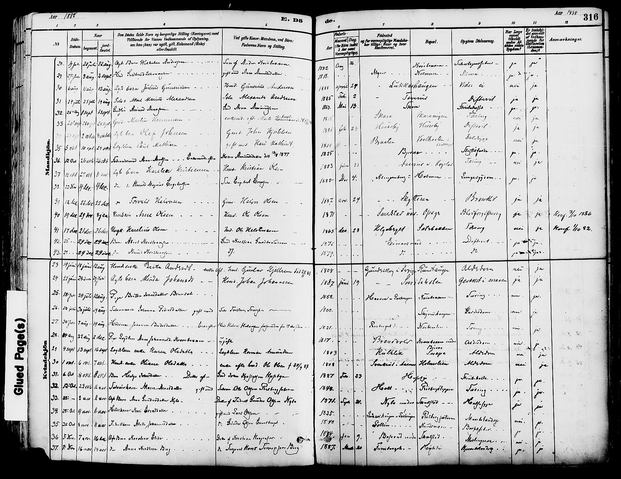 Grue prestekontor, AV/SAH-PREST-036/H/Ha/Haa/L0012: Parish register (official) no. 12, 1881-1897, p. 316