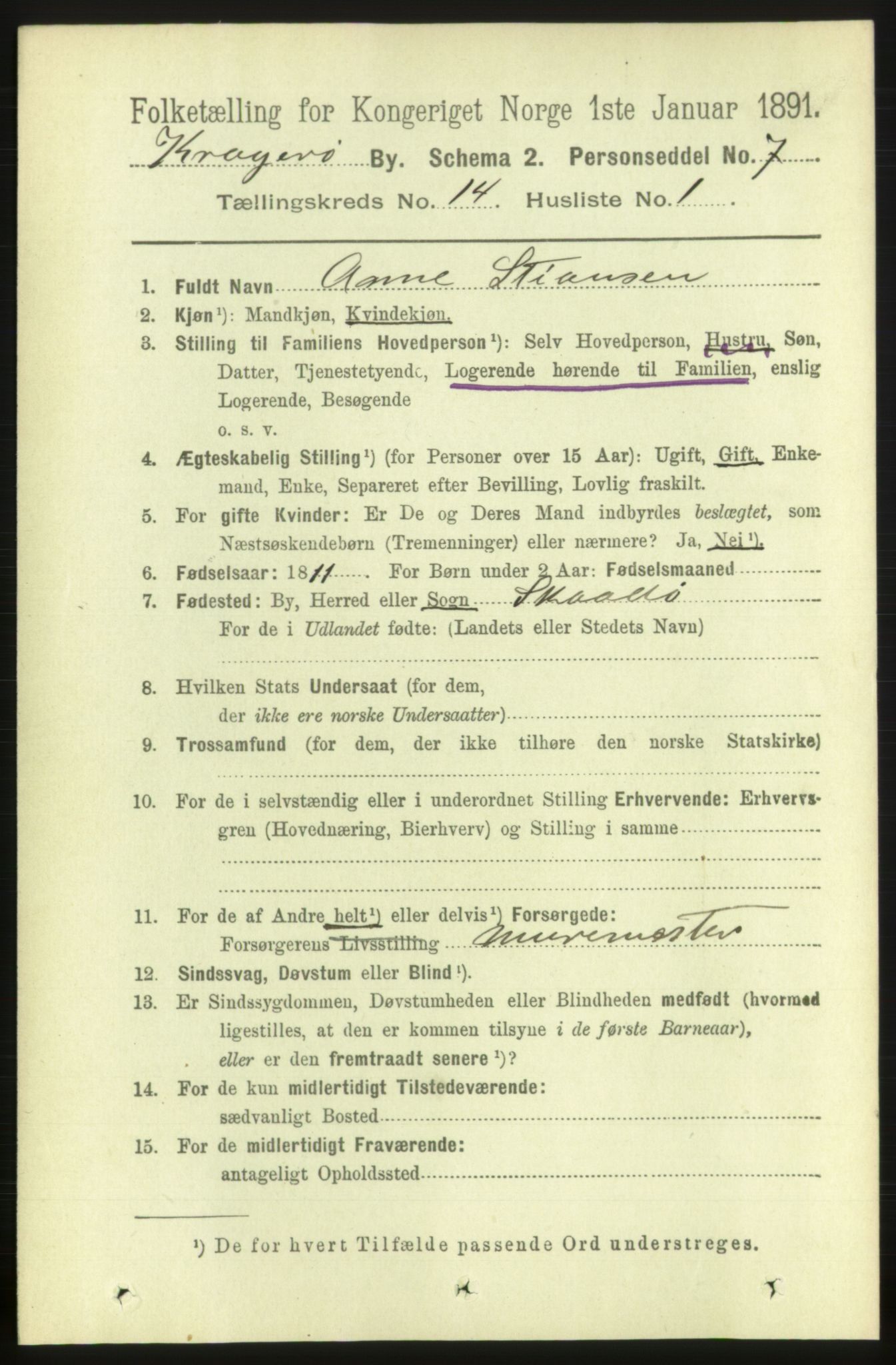 RA, 1891 census for 0801 Kragerø, 1891, p. 4082