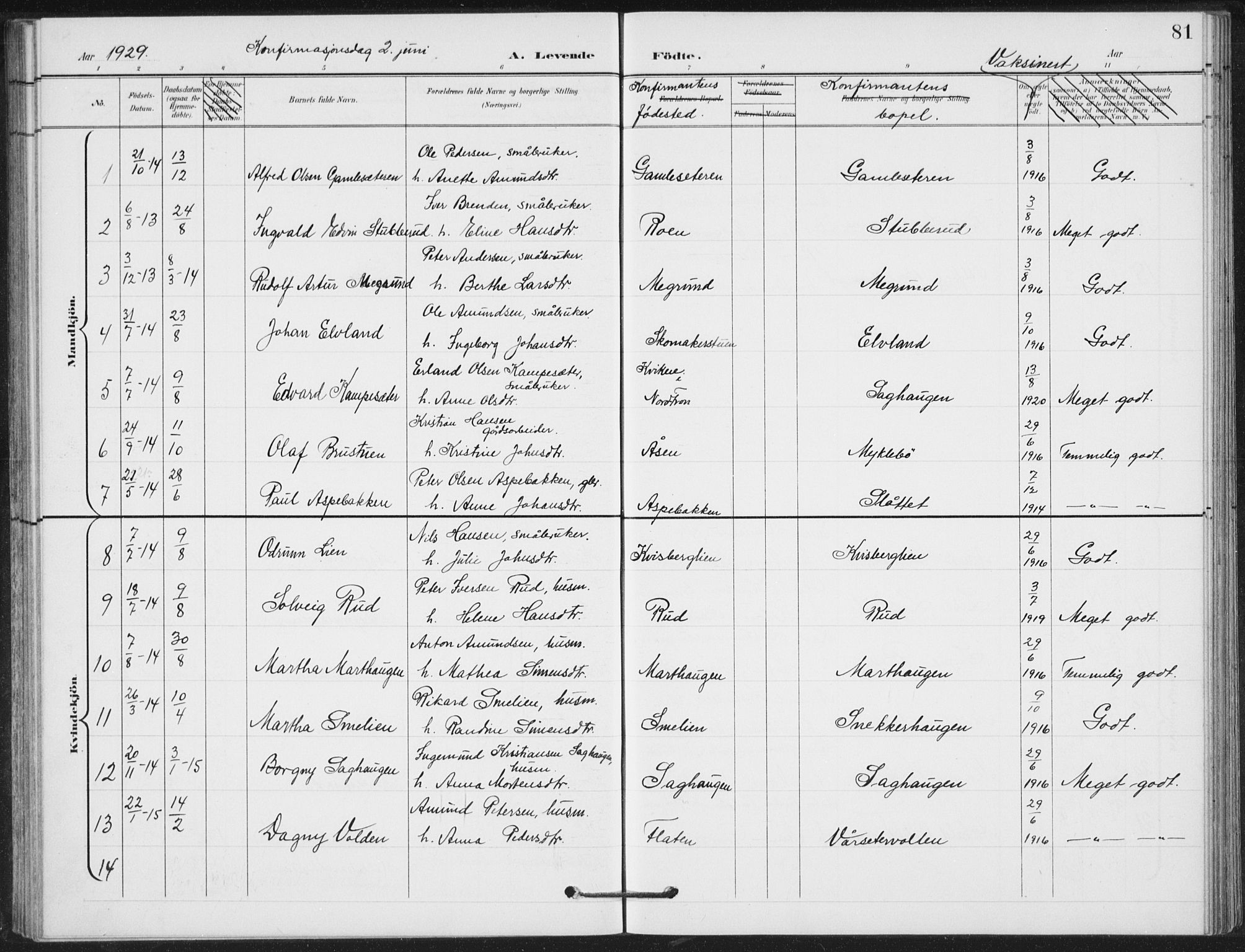 Vestre Gausdal prestekontor, AV/SAH-PREST-094/H/Ha/Hab/L0004: Parish register (copy) no. 4, 1898-1939, p. 81