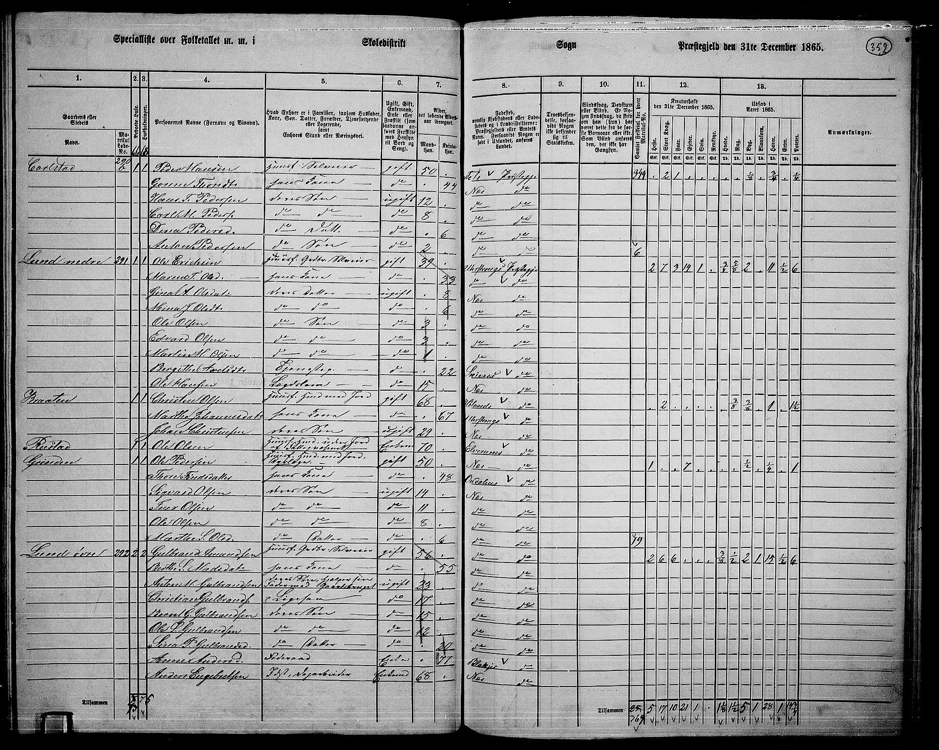 RA, 1865 census for Nes, 1865, p. 322