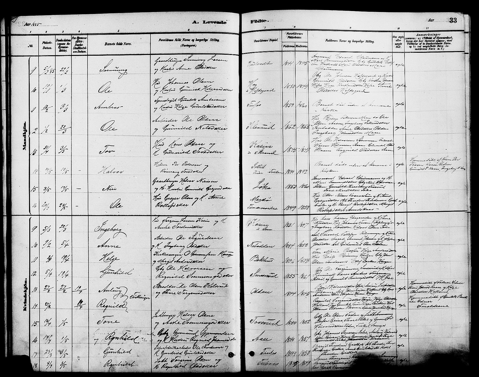 Heddal kirkebøker, SAKO/A-268/G/Ga/L0002: Parish register (copy) no. I 2, 1879-1908, p. 33