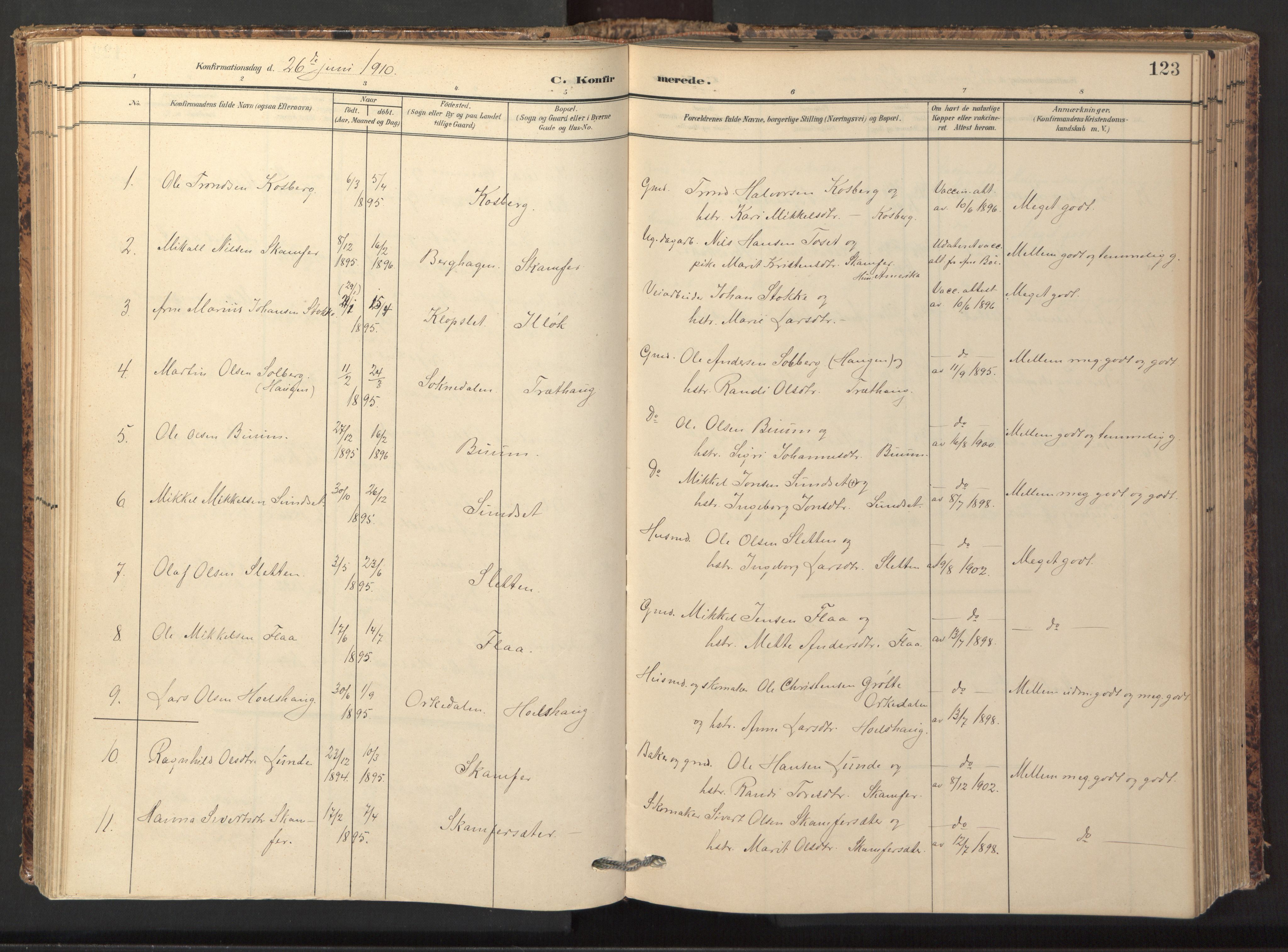 Ministerialprotokoller, klokkerbøker og fødselsregistre - Sør-Trøndelag, SAT/A-1456/674/L0873: Parish register (official) no. 674A05, 1908-1923, p. 123