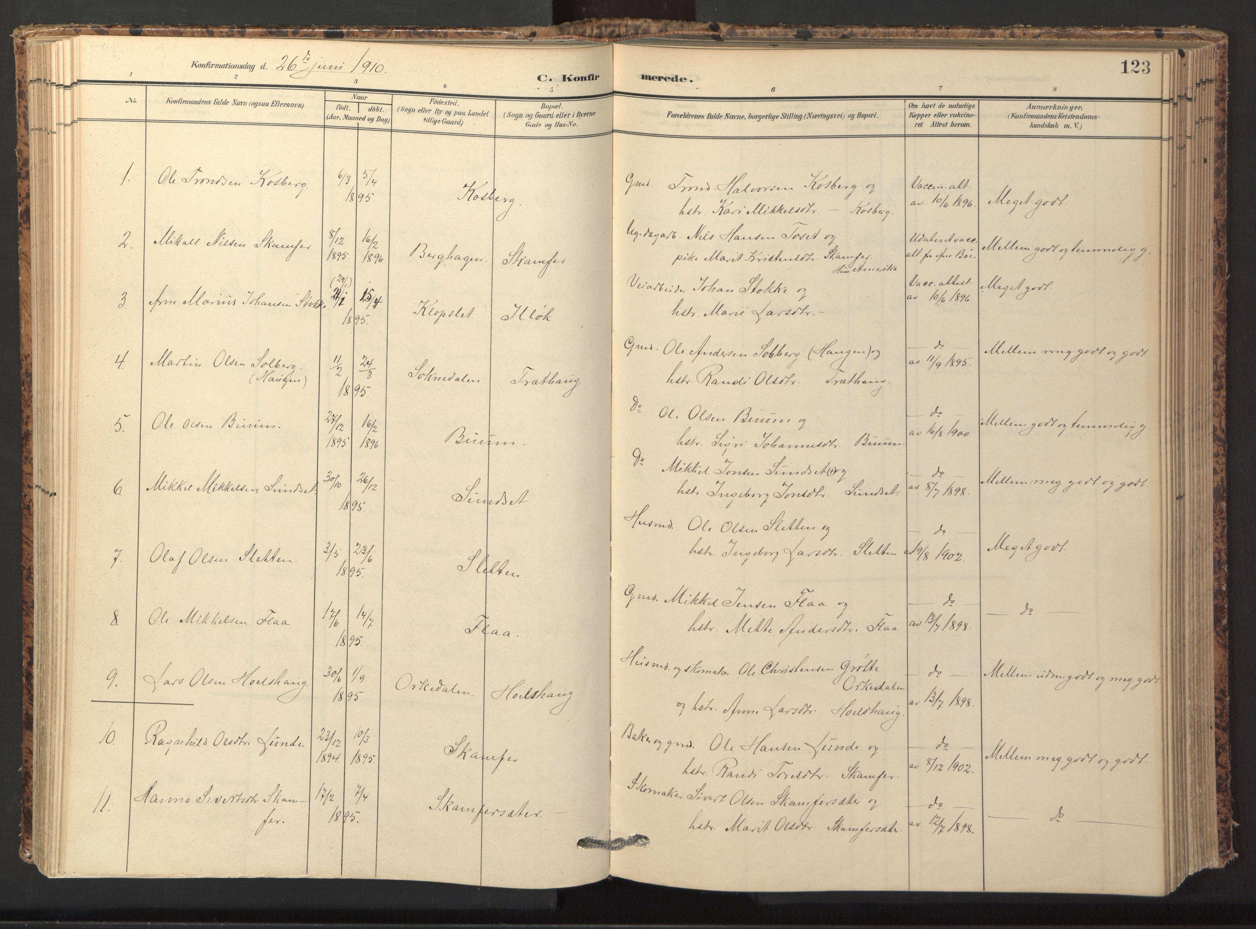 Ministerialprotokoller, klokkerbøker og fødselsregistre - Sør-Trøndelag, AV/SAT-A-1456/674/L0873: Parish register (official) no. 674A05, 1908-1923, p. 123