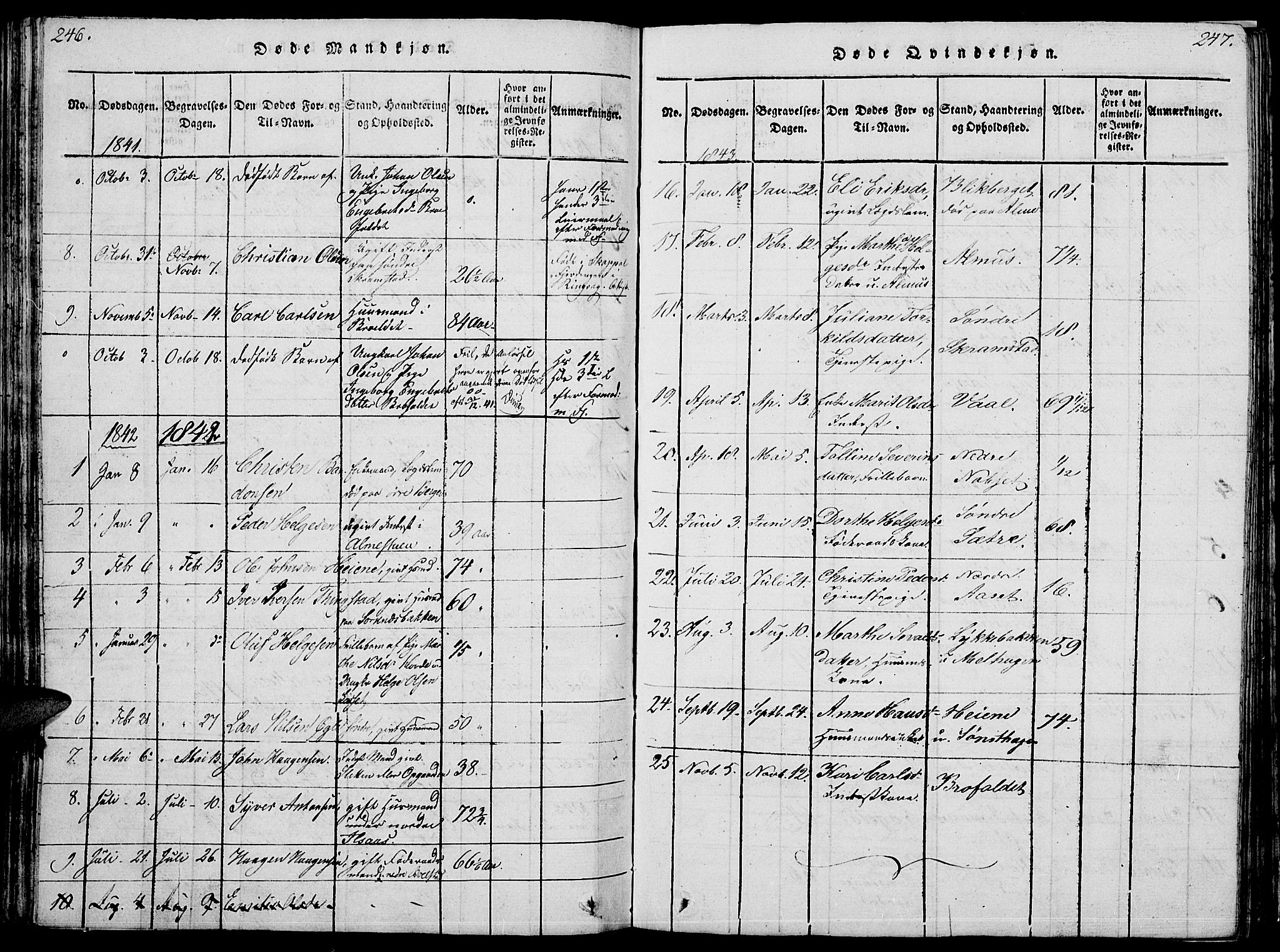 Åmot prestekontor, Hedmark, SAH/PREST-056/H/Ha/Hab/L0001: Parish register (copy) no. 1, 1815-1847, p. 246-247