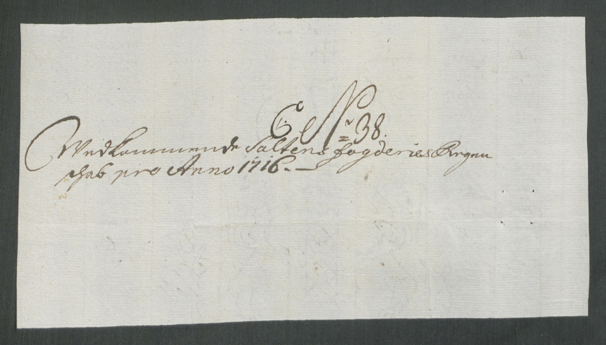 Rentekammeret inntil 1814, Reviderte regnskaper, Fogderegnskap, AV/RA-EA-4092/R66/L4586: Fogderegnskap Salten, 1716, p. 242