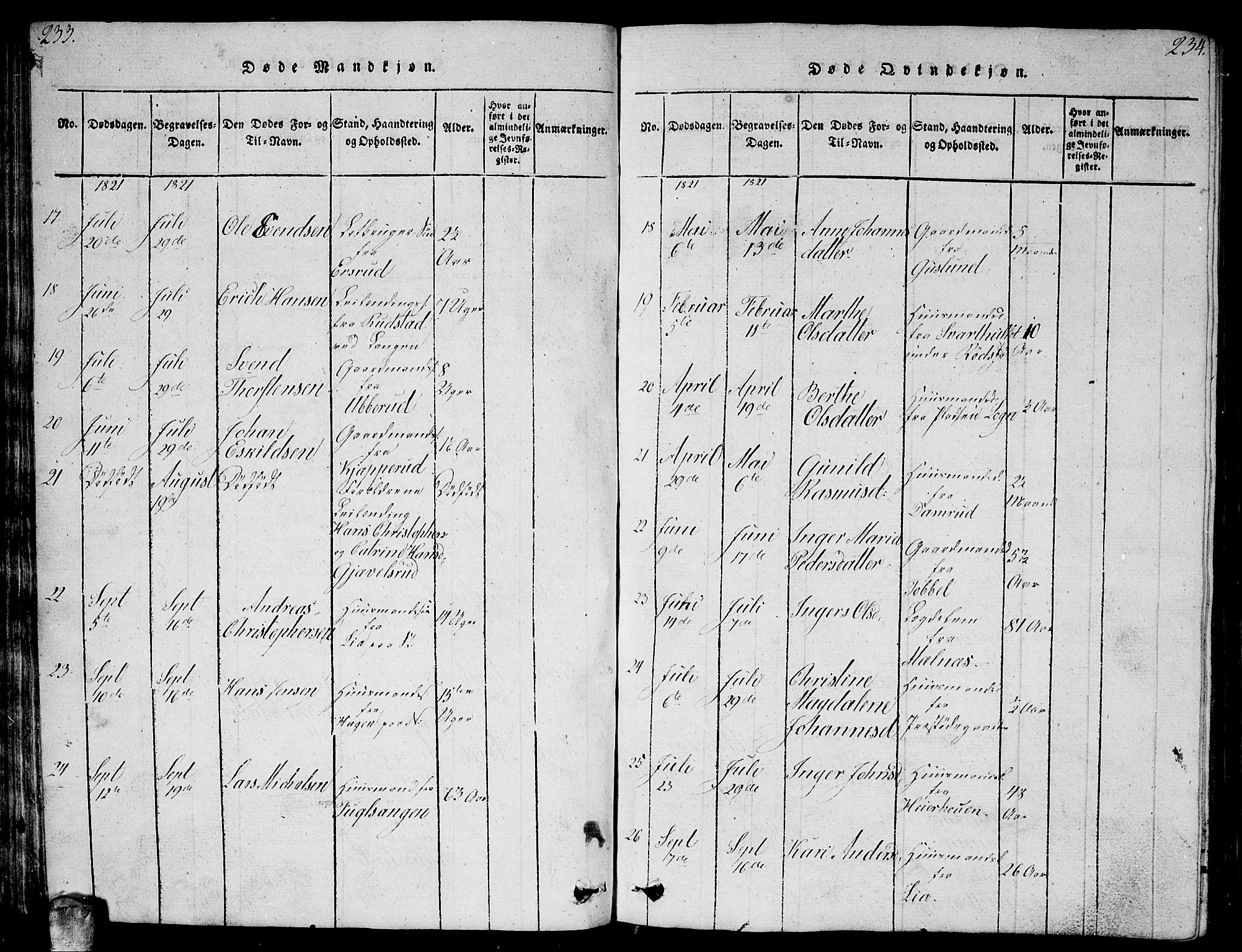 Enebakk prestekontor Kirkebøker, AV/SAO-A-10171c/G/Ga/L0001: Parish register (copy) no. I 1, 1815-1833, p. 233-234