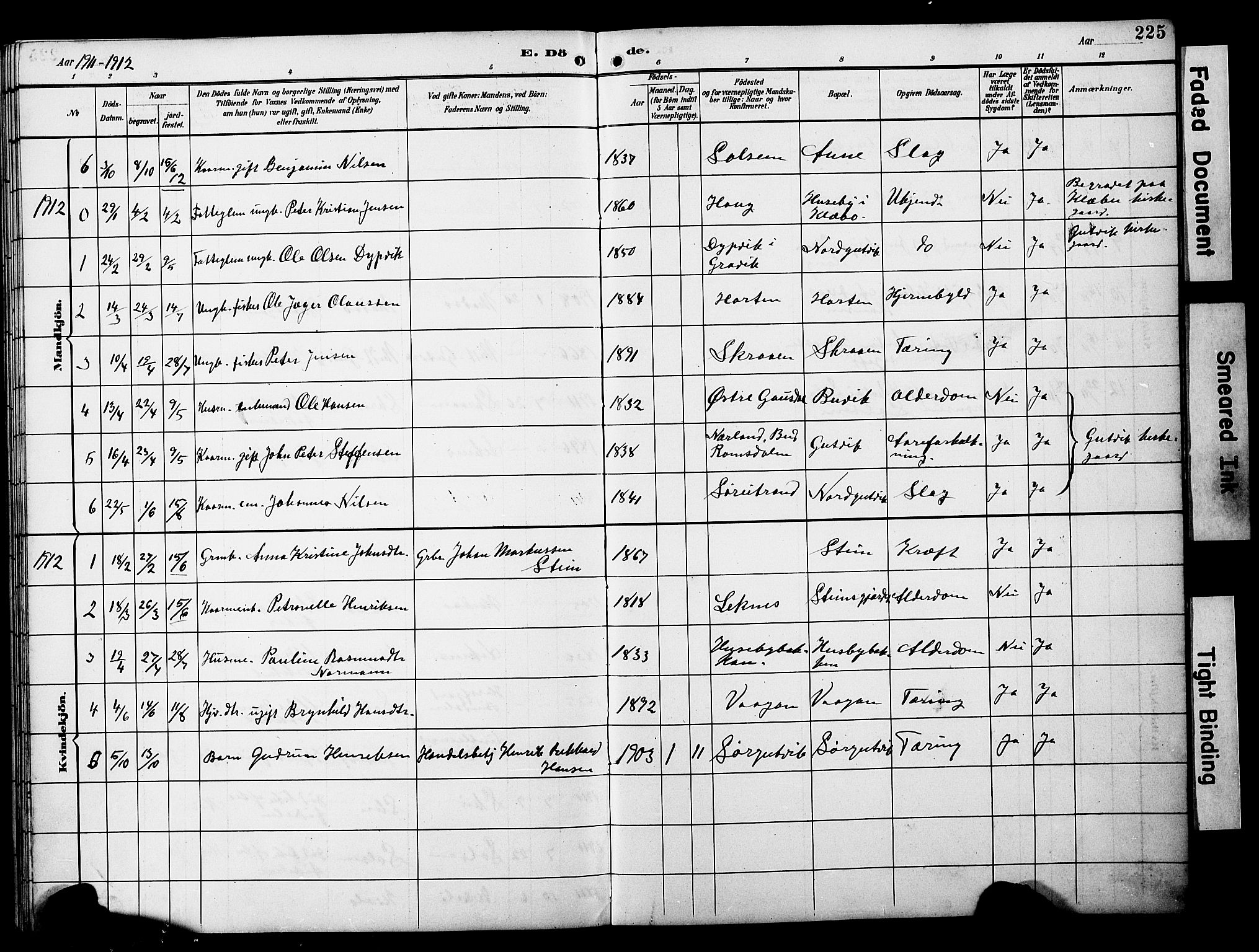 Ministerialprotokoller, klokkerbøker og fødselsregistre - Nord-Trøndelag, SAT/A-1458/788/L0701: Parish register (copy) no. 788C01, 1888-1913, p. 225