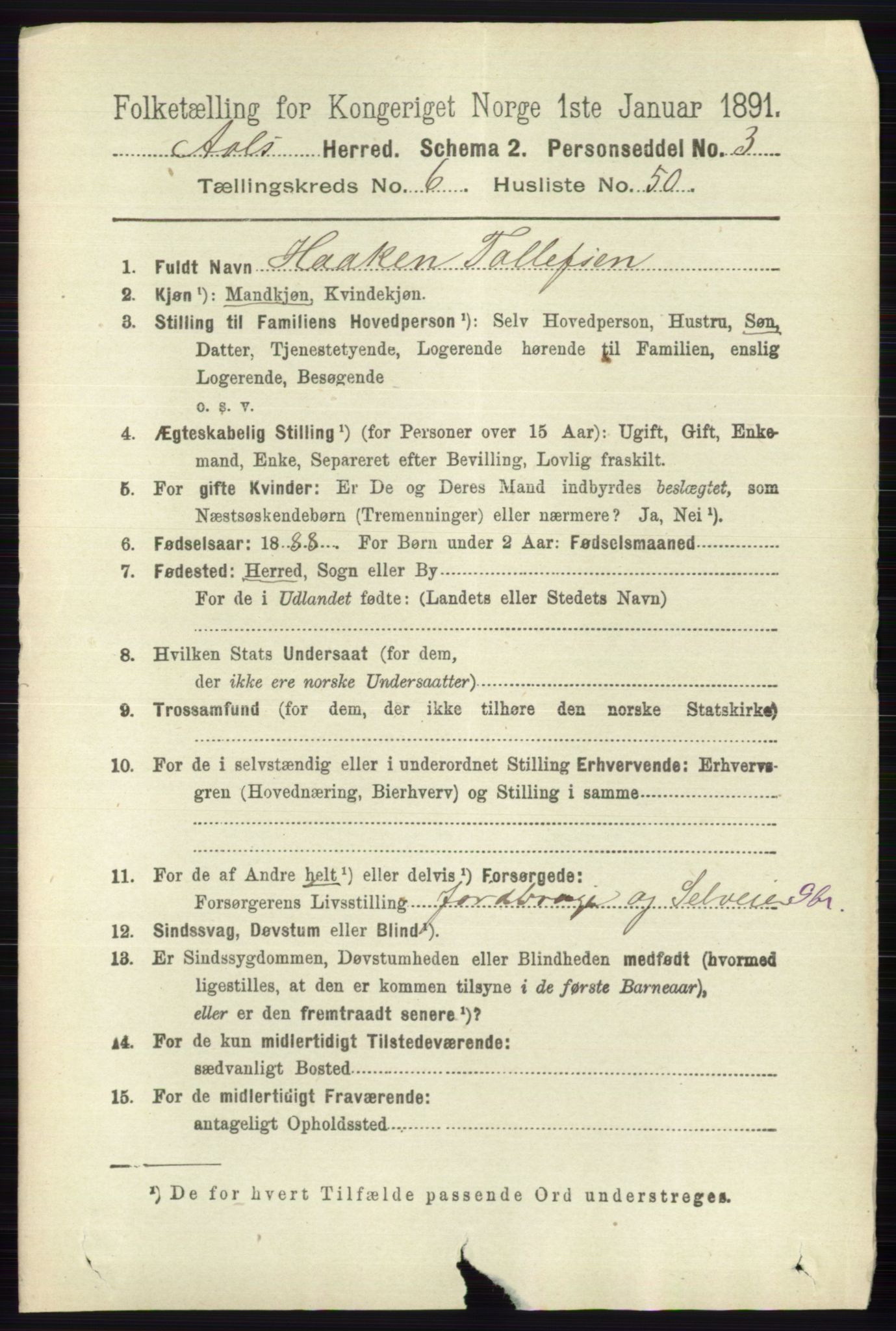 RA, 1891 census for 0619 Ål, 1891, p. 1778