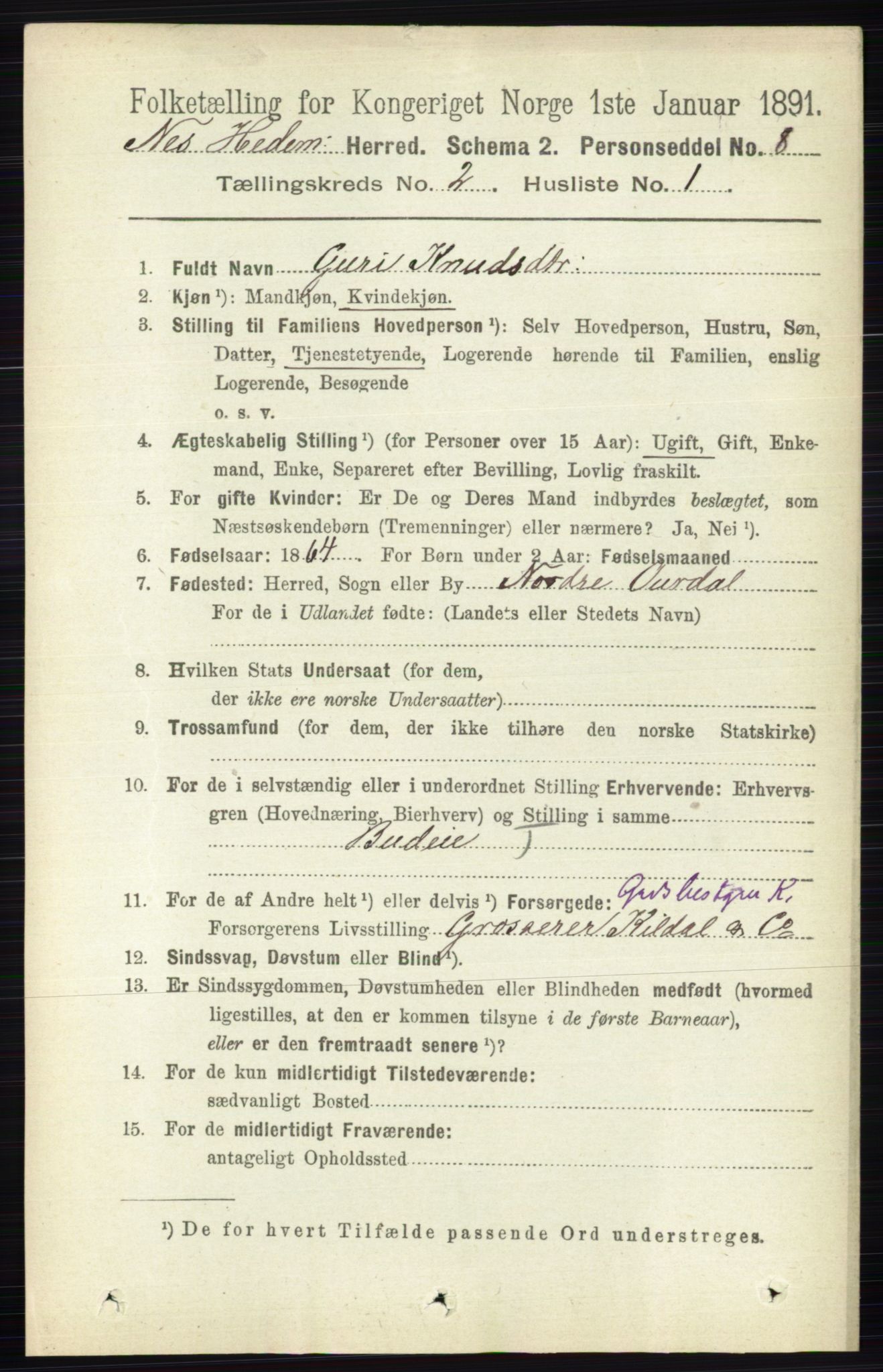 RA, 1891 census for 0411 Nes, 1891, p. 1079