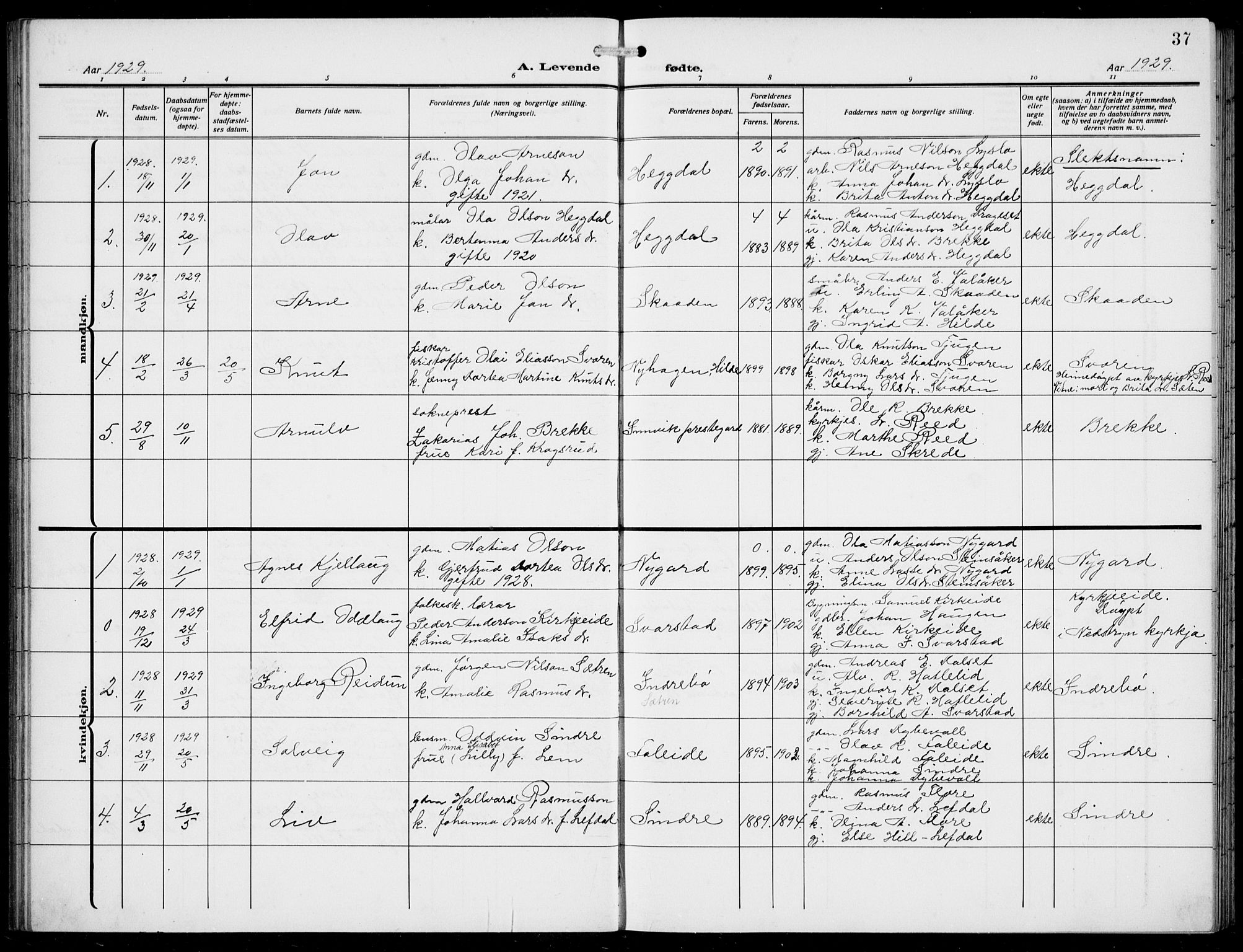 Innvik sokneprestembete, SAB/A-80501: Parish register (copy) no. A 4, 1913-1936, p. 37