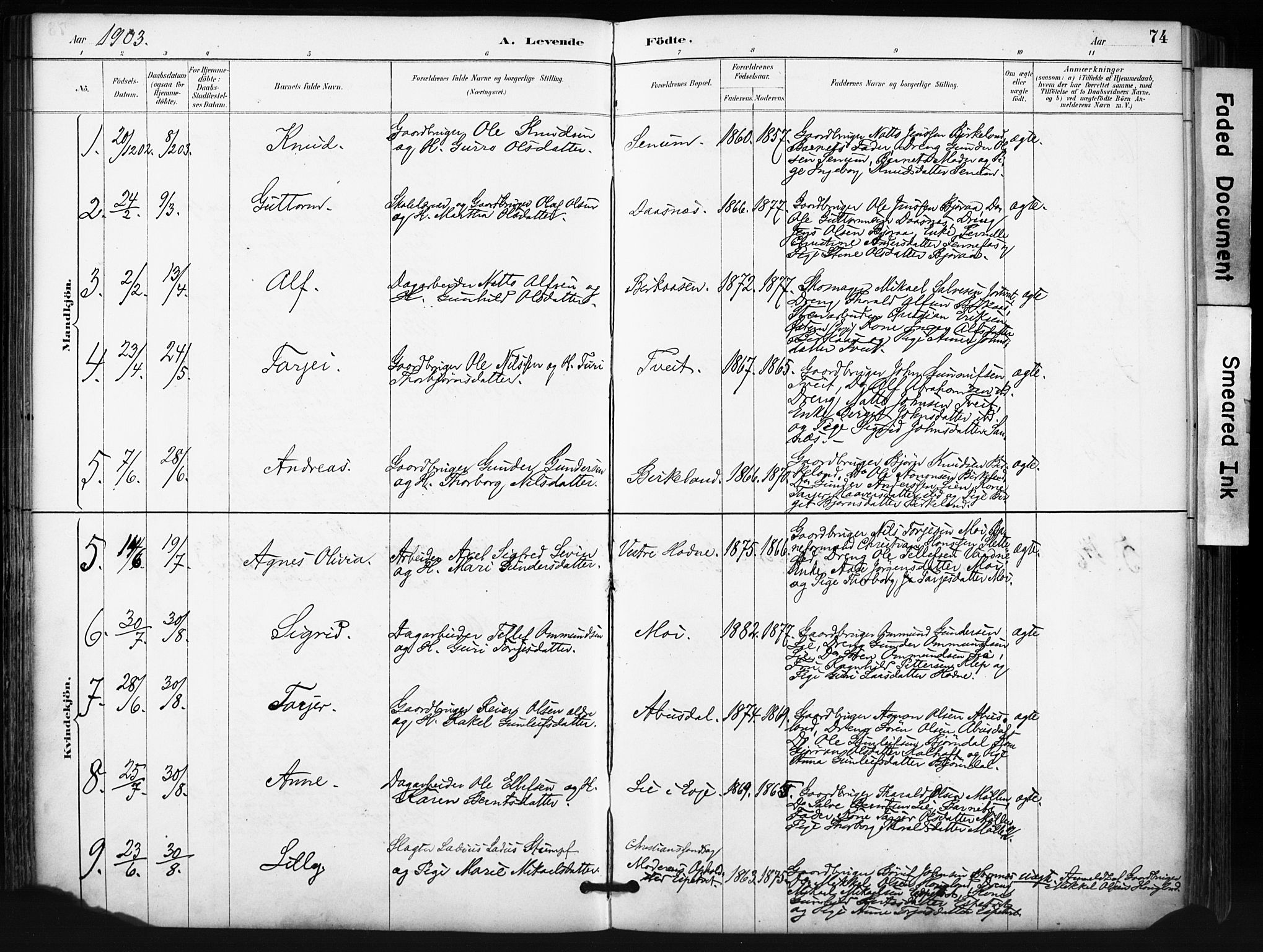 Evje sokneprestkontor, SAK/1111-0008/F/Fa/Fab/L0003: Parish register (official) no. A 3, 1884-1909, p. 74