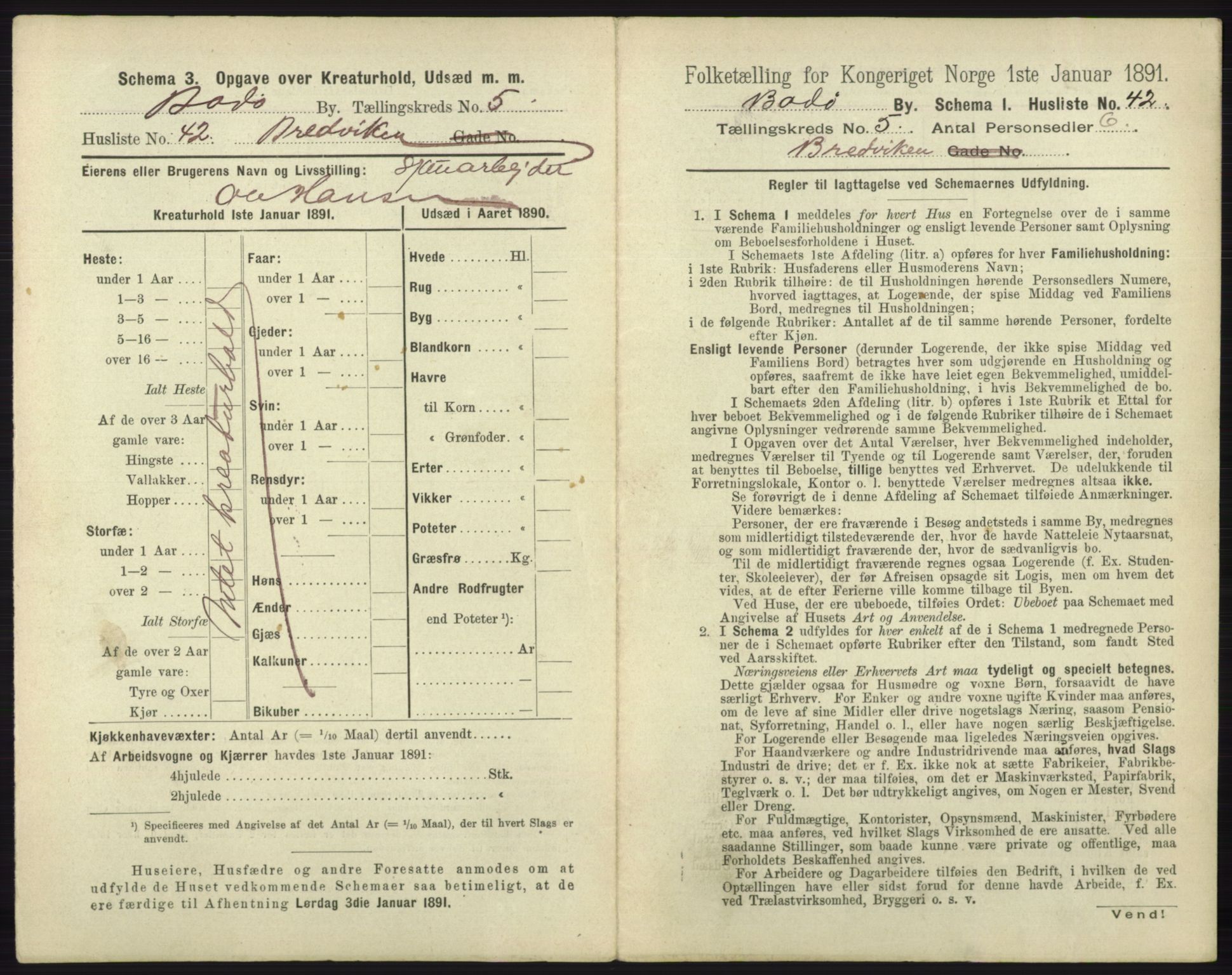 RA, 1891 census for 1804 Bodø, 1891, p. 3889