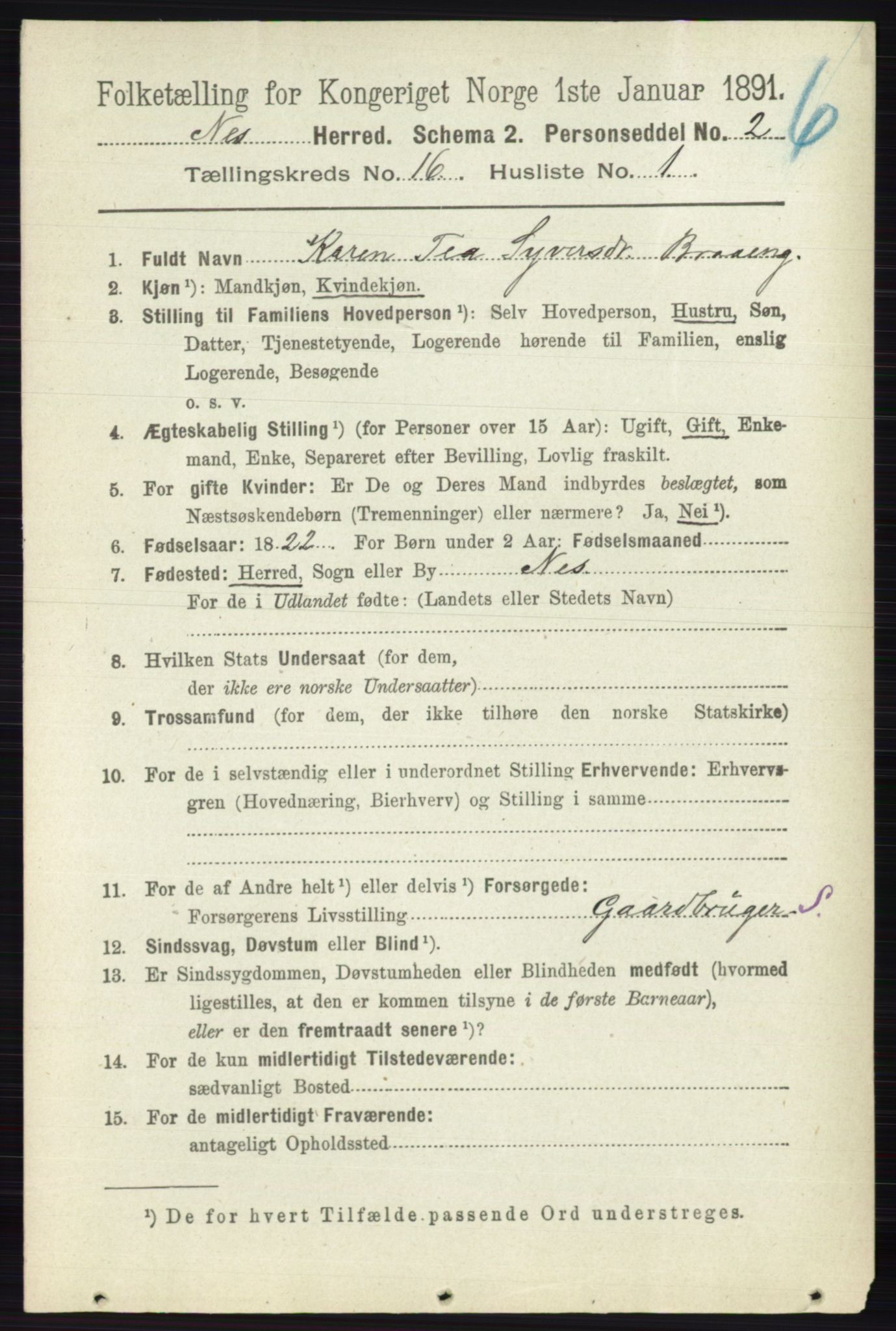 RA, 1891 census for 0236 Nes, 1891, p. 9550