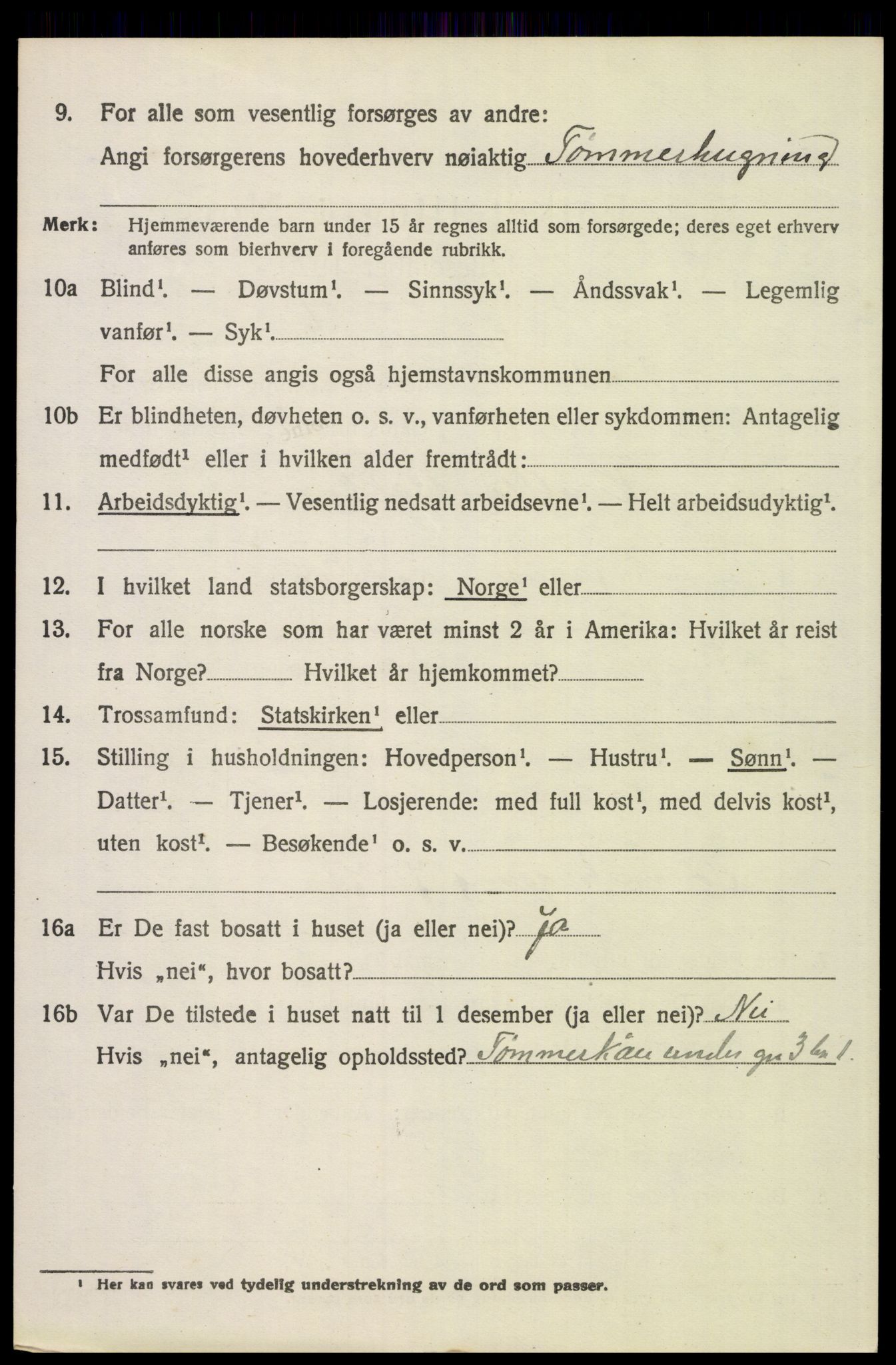SAH, 1920 census for Trysil, 1920, p. 3524