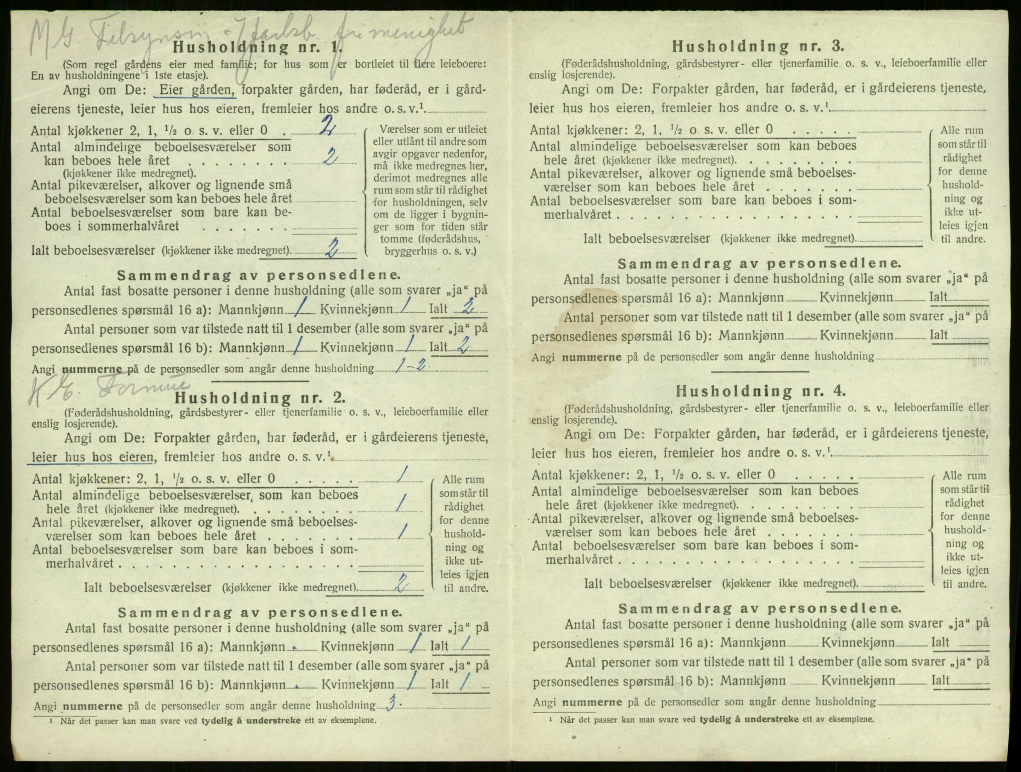 SAKO, 1920 census for Våle, 1920, p. 404