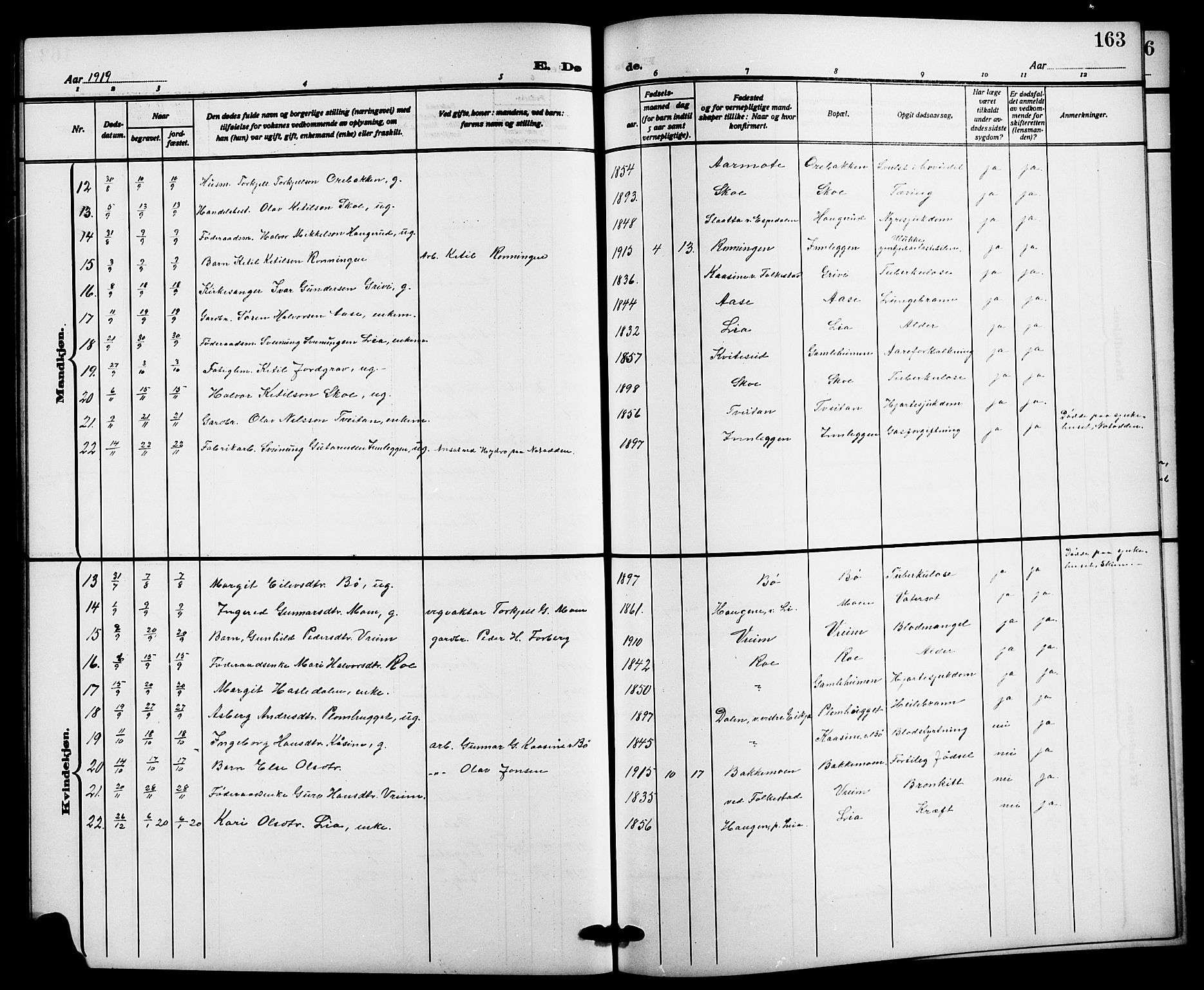 Bø kirkebøker, SAKO/A-257/G/Ga/L0007: Parish register (copy) no. 7, 1909-1924, p. 163