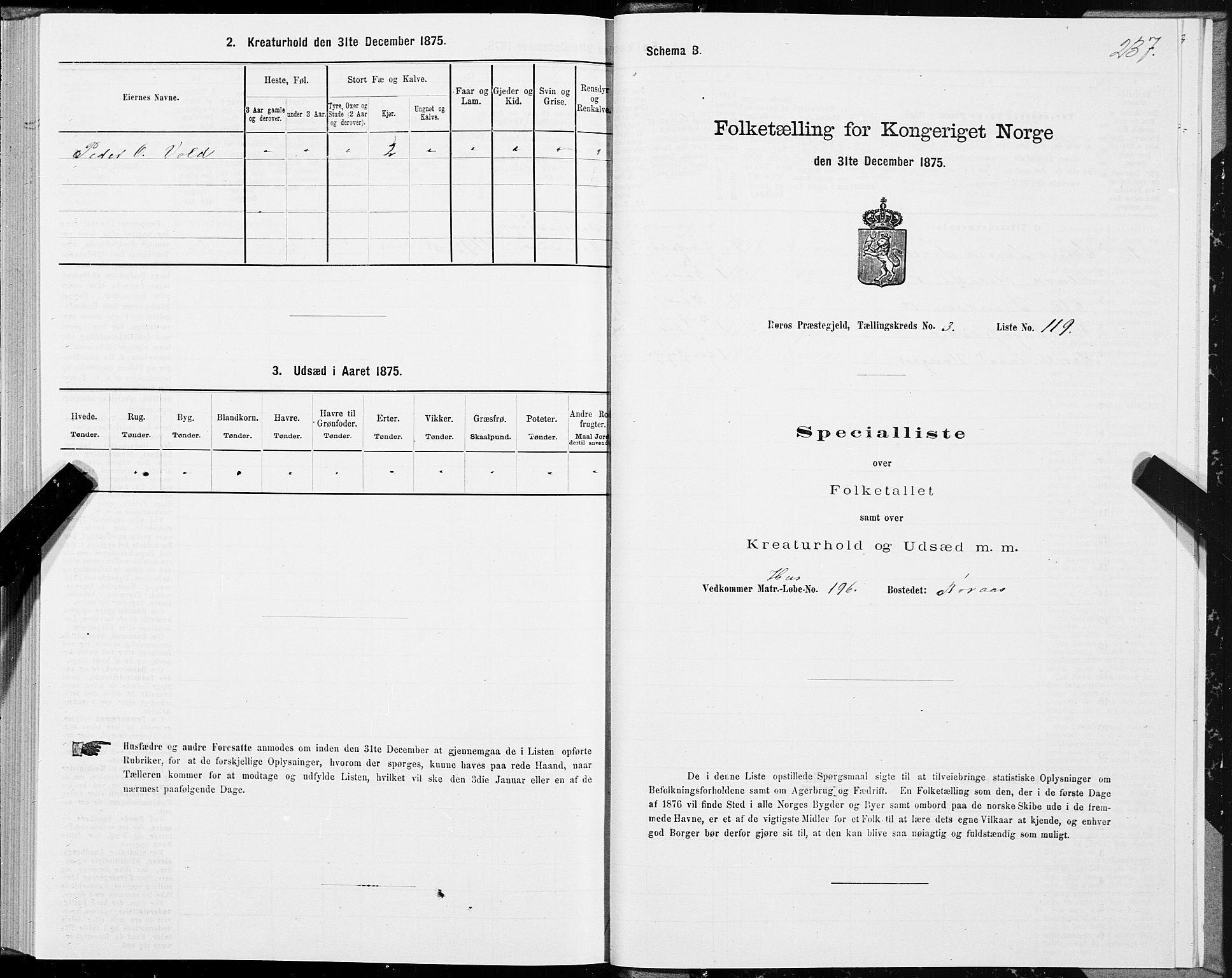 SAT, 1875 census for 1640P Røros, 1875, p. 2237