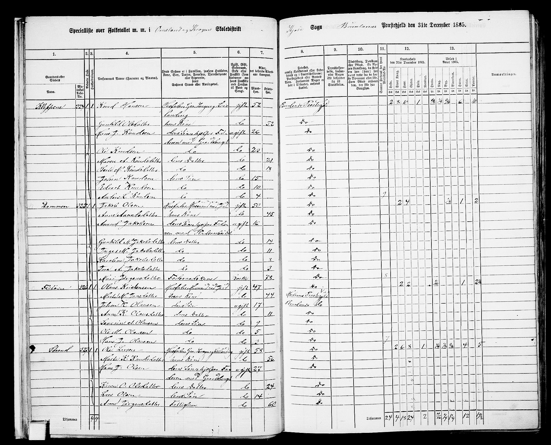 RA, 1865 census for Brunlanes, 1865, p. 22