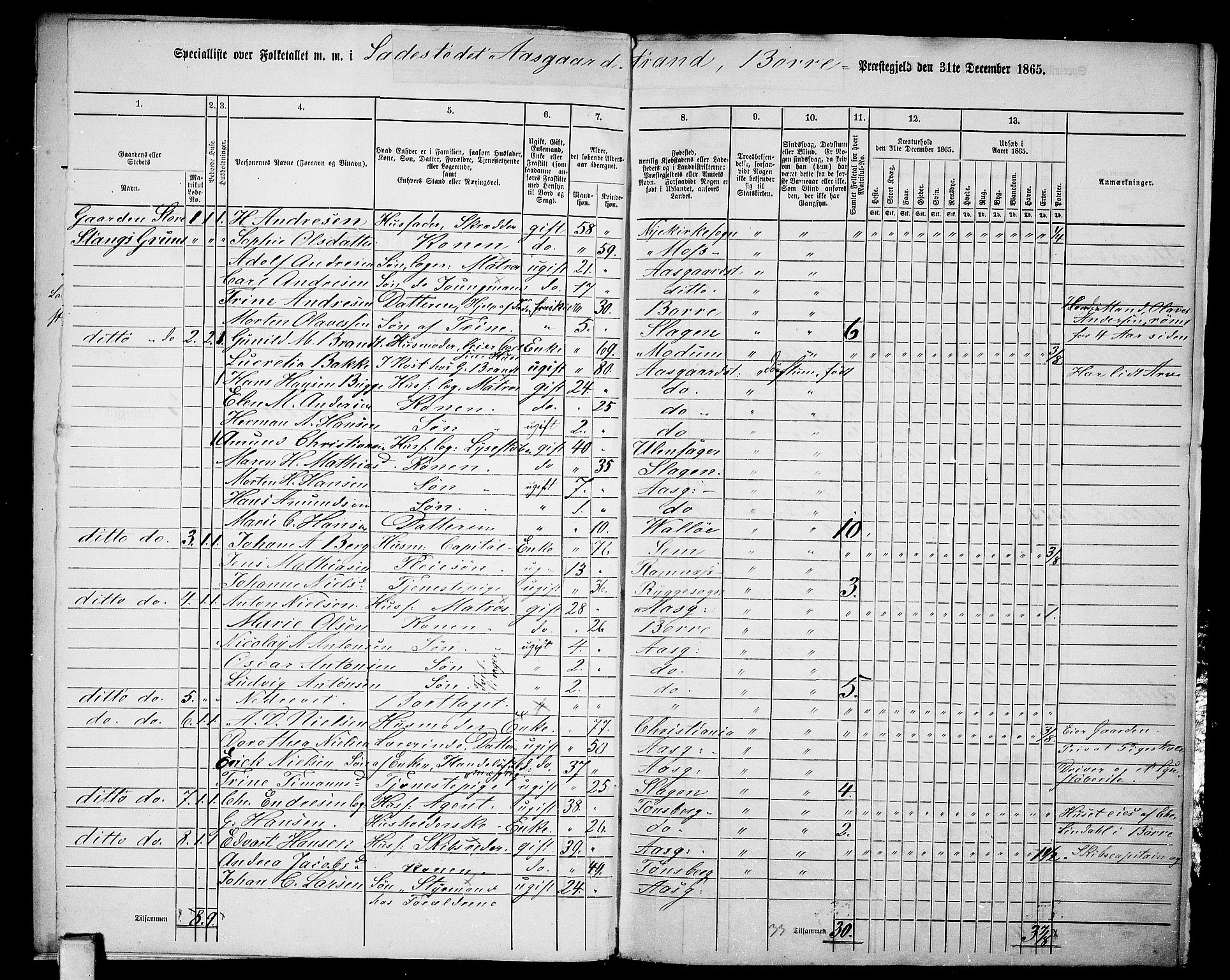 RA, 1865 census for Borre, 1865, p. 6