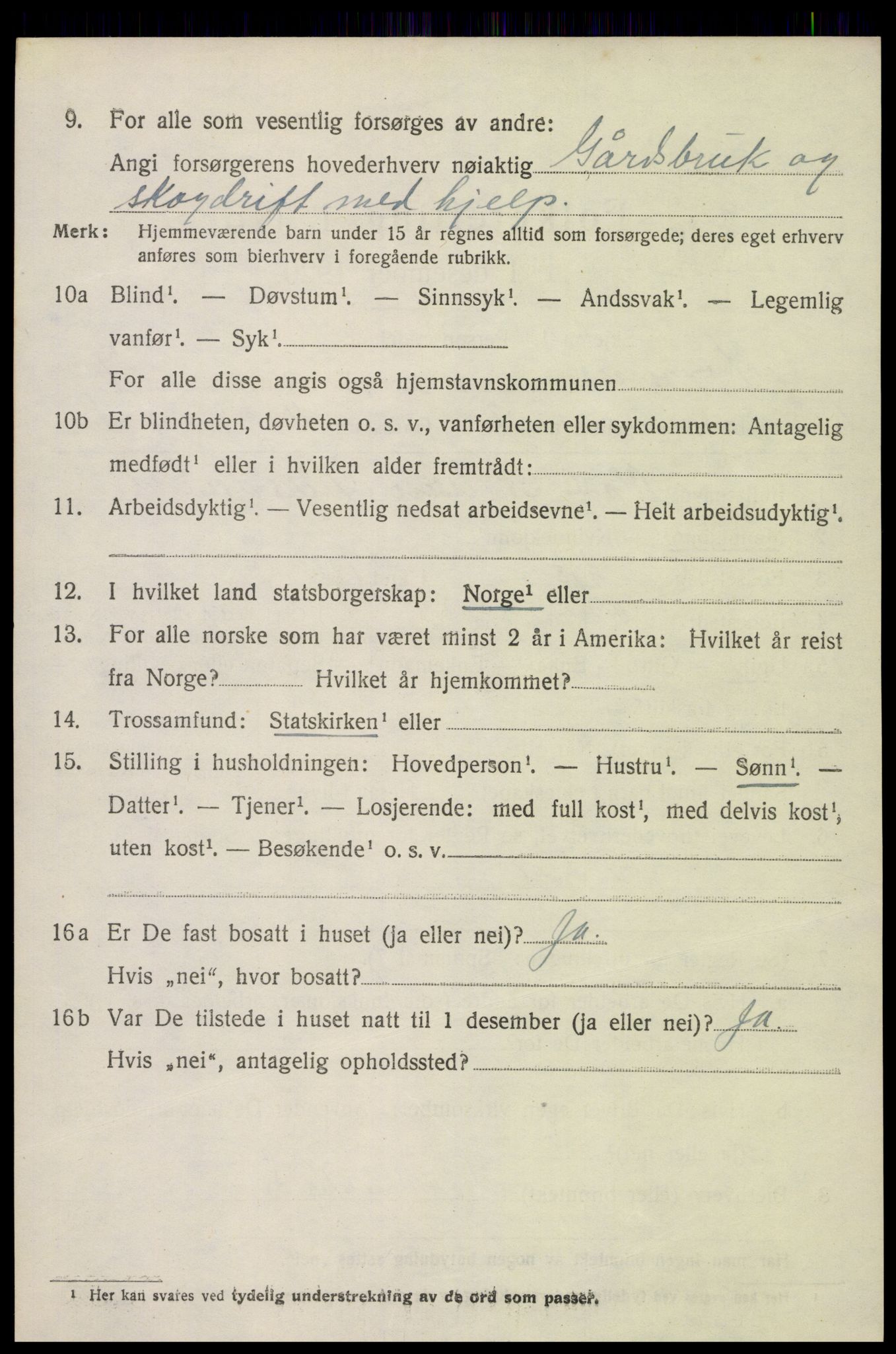 SAK, 1920 census for Hornnes, 1920, p. 1674