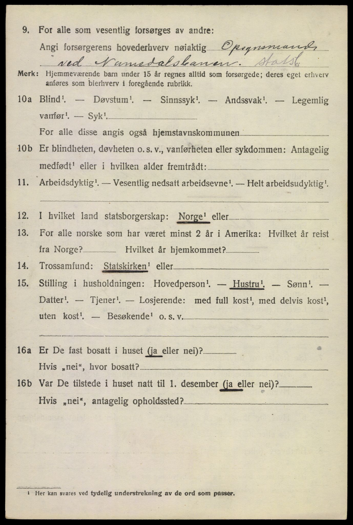 SAKO, 1920 census for Nore, 1920, p. 1041