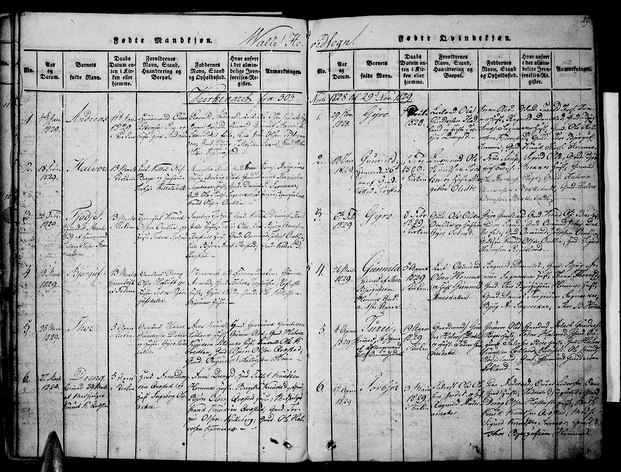 Valle sokneprestkontor, SAK/1111-0044/F/Fa/Fac/L0005: Parish register (official) no. A 5 /1, 1816-1831, p. 29