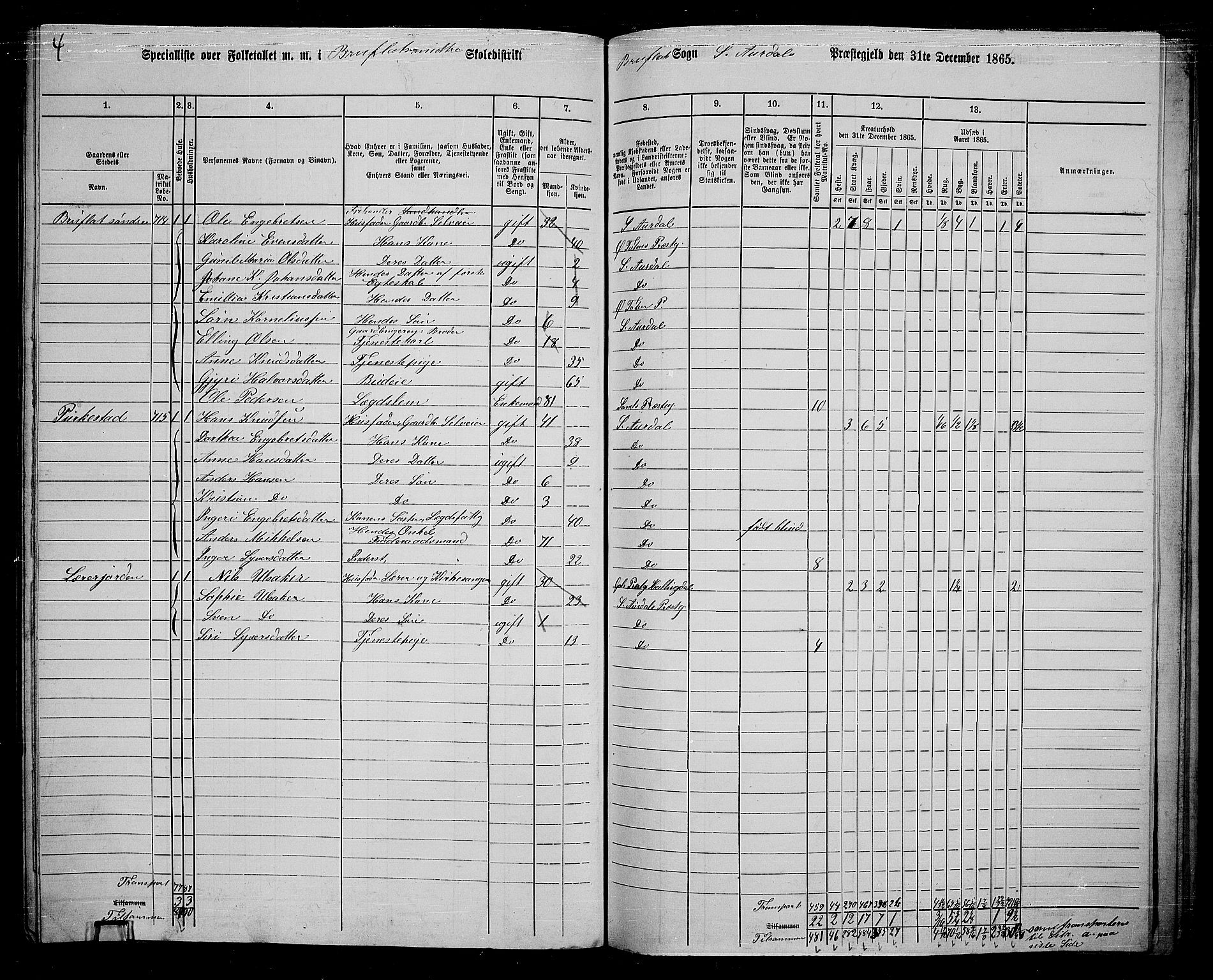 RA, 1865 census for Sør-Aurdal, 1865, p. 233