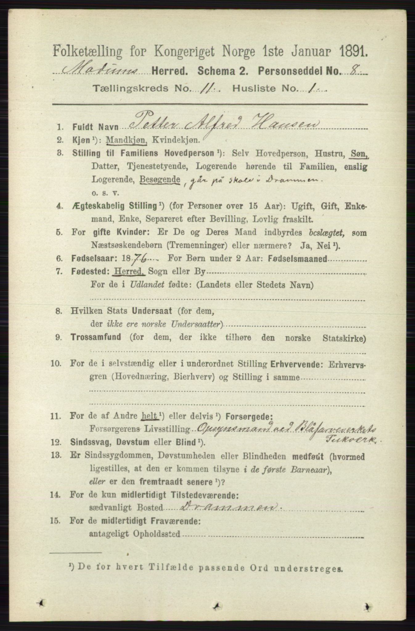 RA, 1891 census for 0623 Modum, 1891, p. 4117