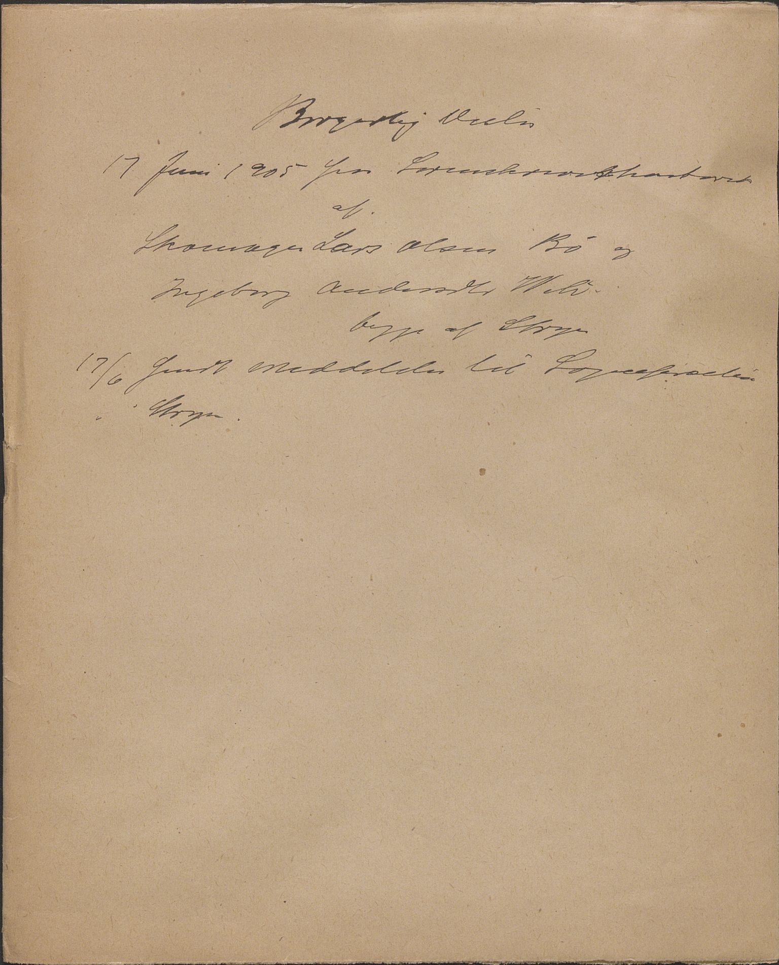 Nordfjord sorenskriveri, AV/SAB-A-2801/1/08/08c/L0002: Vigde, 1893-1906, p. 12