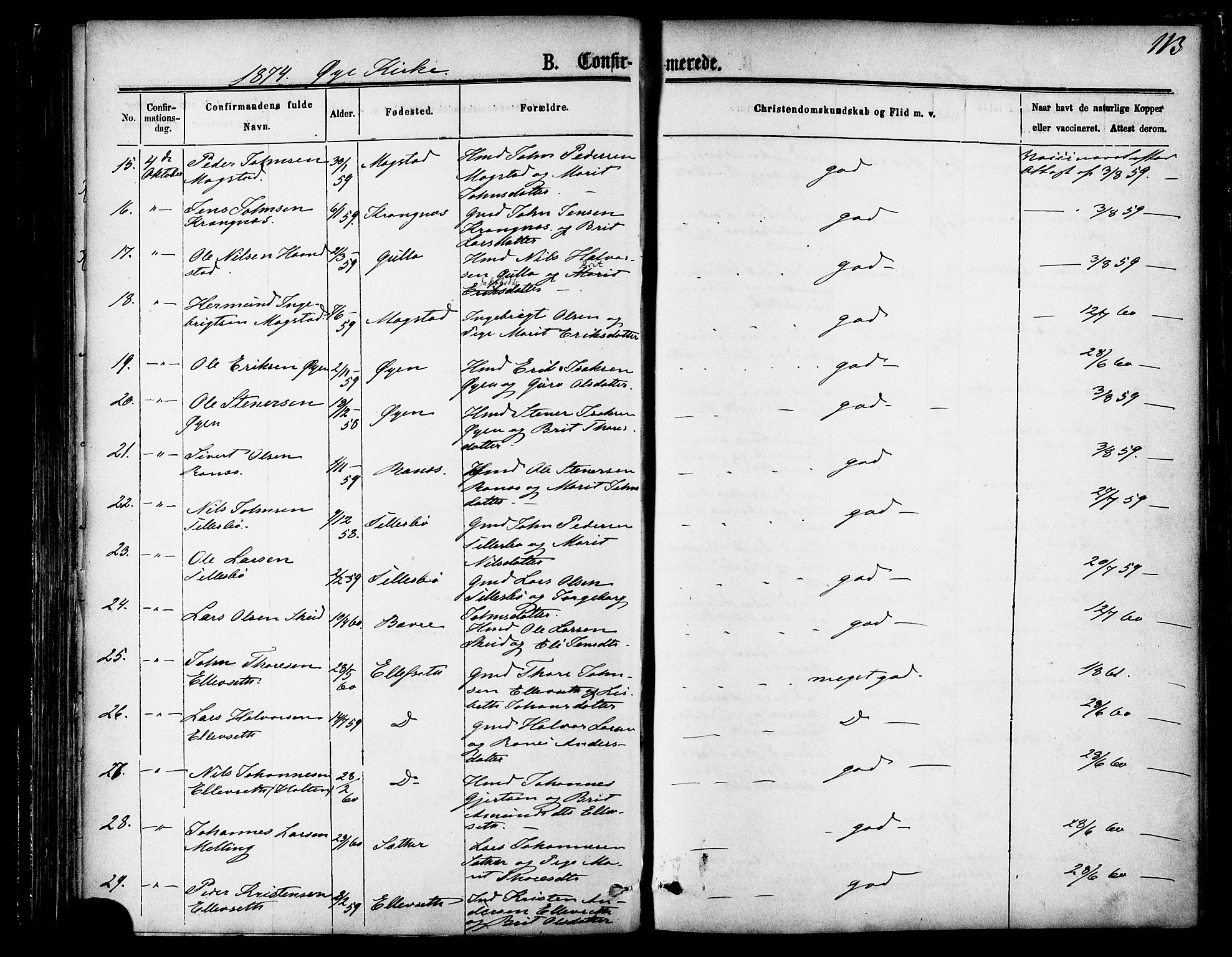 Ministerialprotokoller, klokkerbøker og fødselsregistre - Møre og Romsdal, AV/SAT-A-1454/595/L1046: Parish register (official) no. 595A08, 1874-1884, p. 113