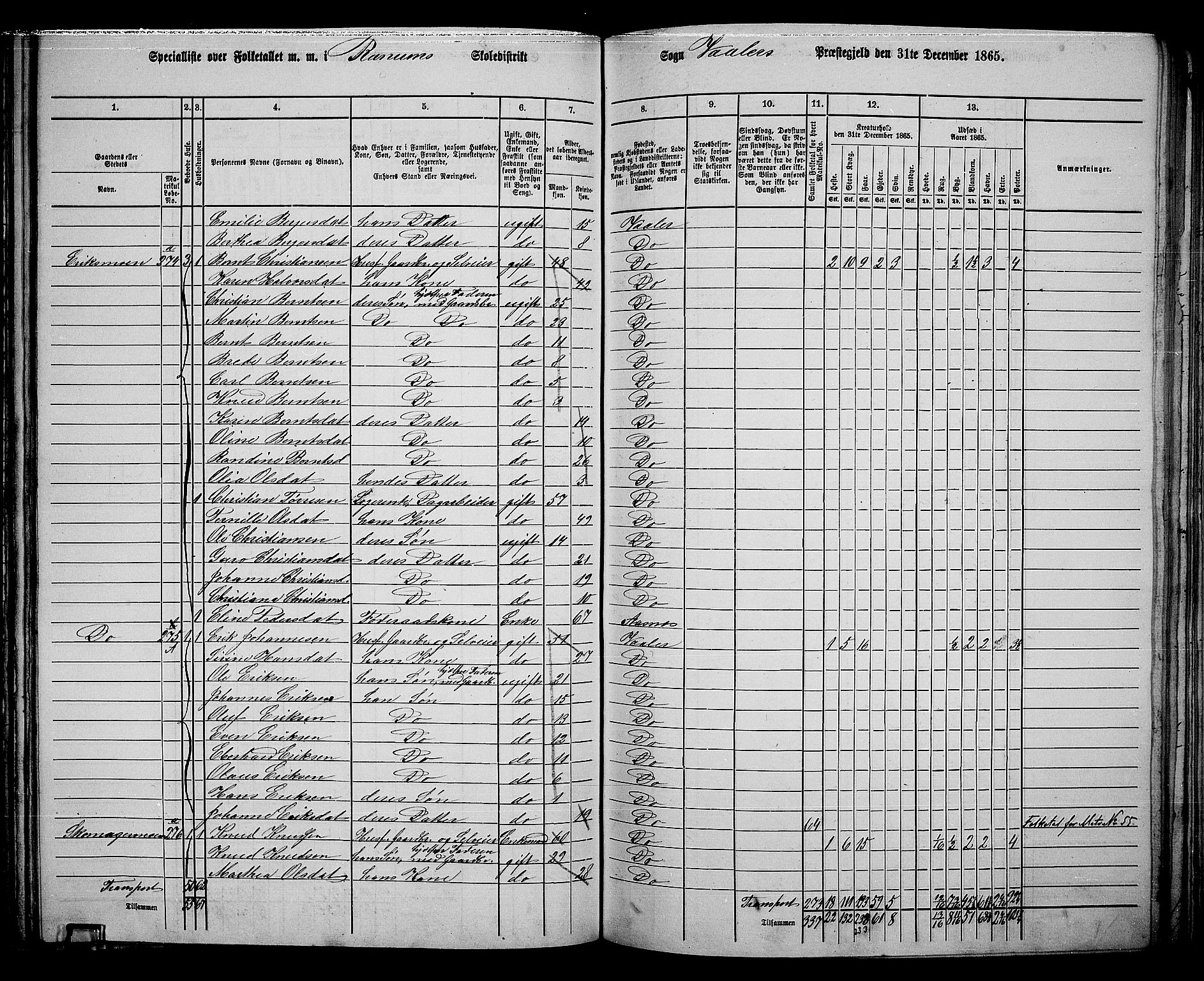 RA, 1865 census for Våler, 1865, p. 121