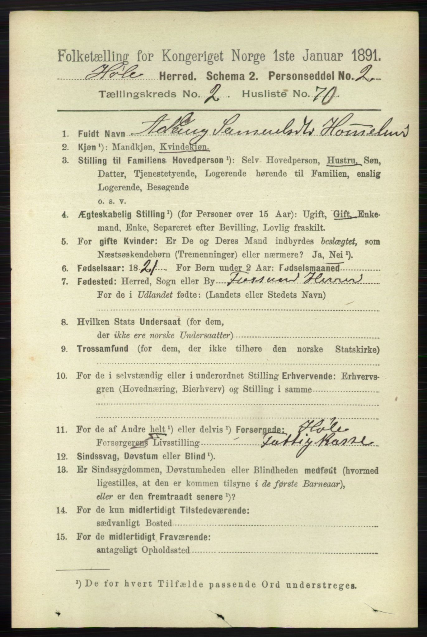 RA, 1891 census for 1128 Høle, 1891, p. 617