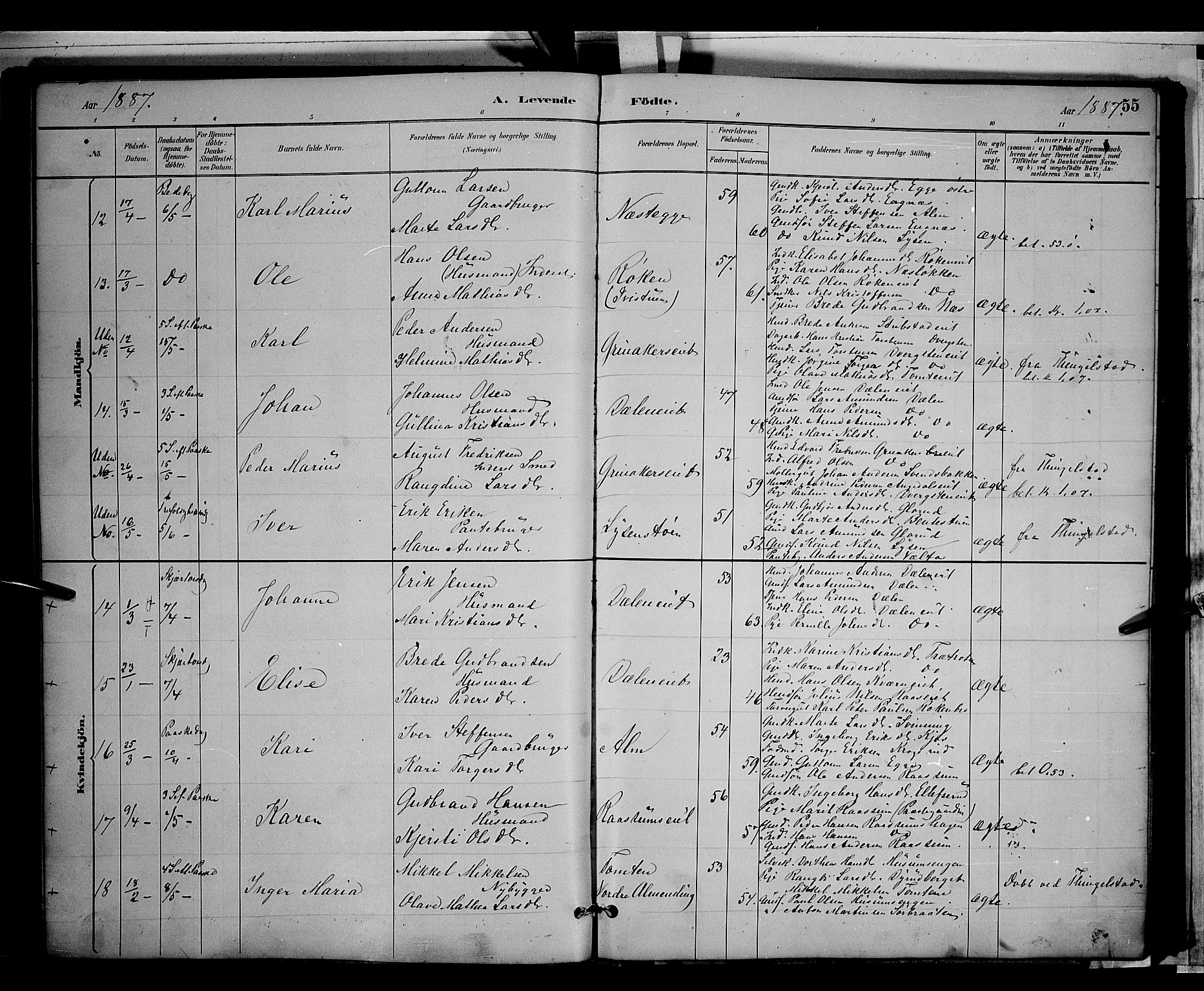 Gran prestekontor, AV/SAH-PREST-112/H/Ha/Hab/L0003: Parish register (copy) no. 3, 1882-1890, p. 55