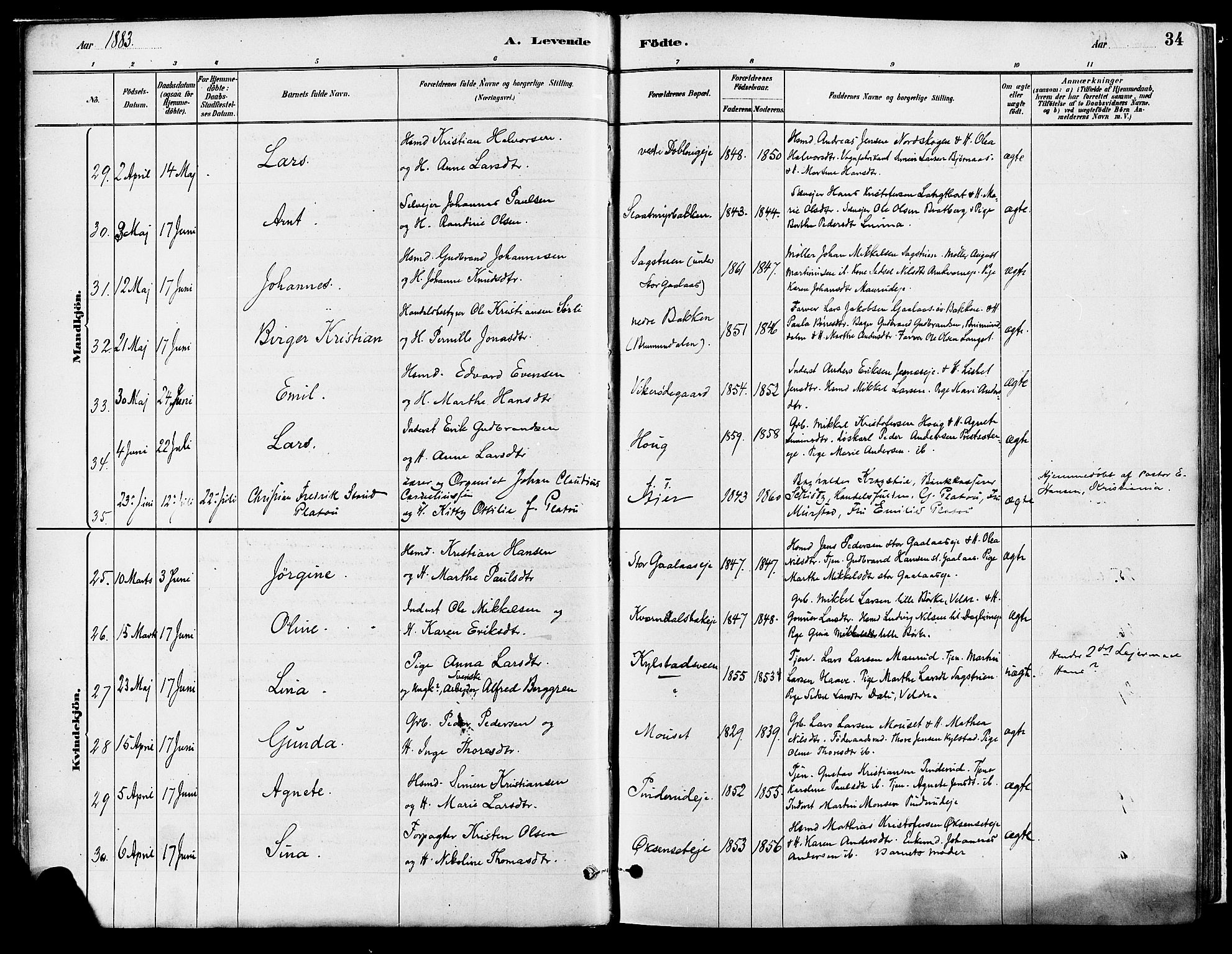 Vang prestekontor, Hedmark, SAH/PREST-008/H/Ha/Haa/L0018A: Parish register (official) no. 18A, 1880-1906, p. 34