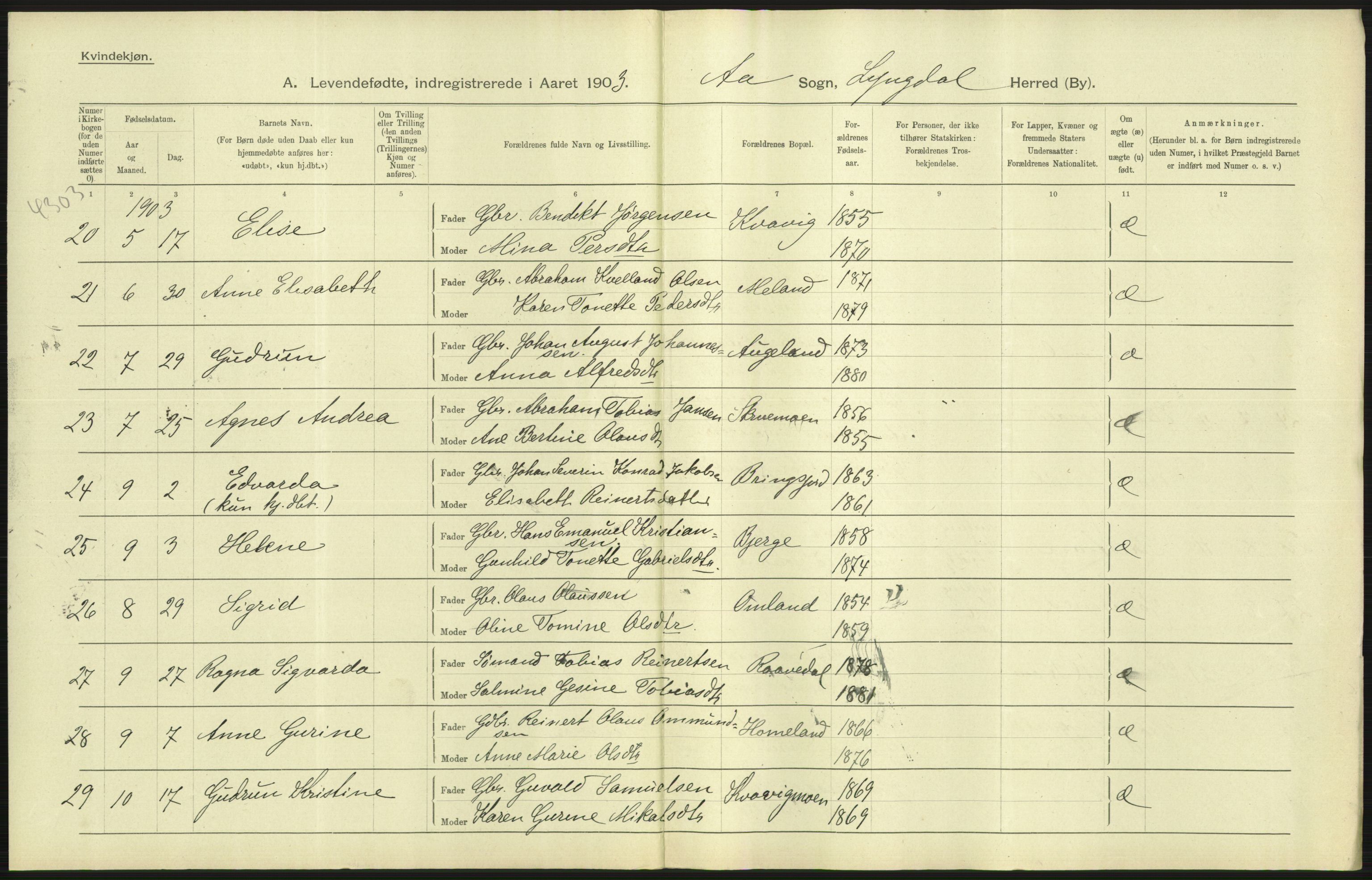 Statistisk sentralbyrå, Sosiodemografiske emner, Befolkning, AV/RA-S-2228/D/Df/Dfa/Dfaa/L0011: Lister og Mandal amt: Fødte, gifte, døde, 1903, p. 63