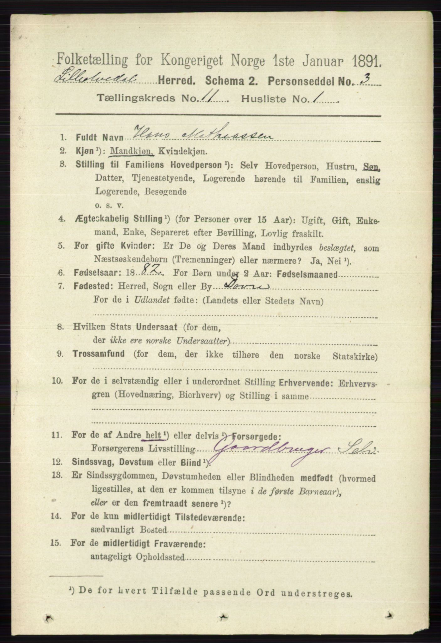 RA, 1891 census for 0438 Lille Elvedalen, 1891, p. 3795