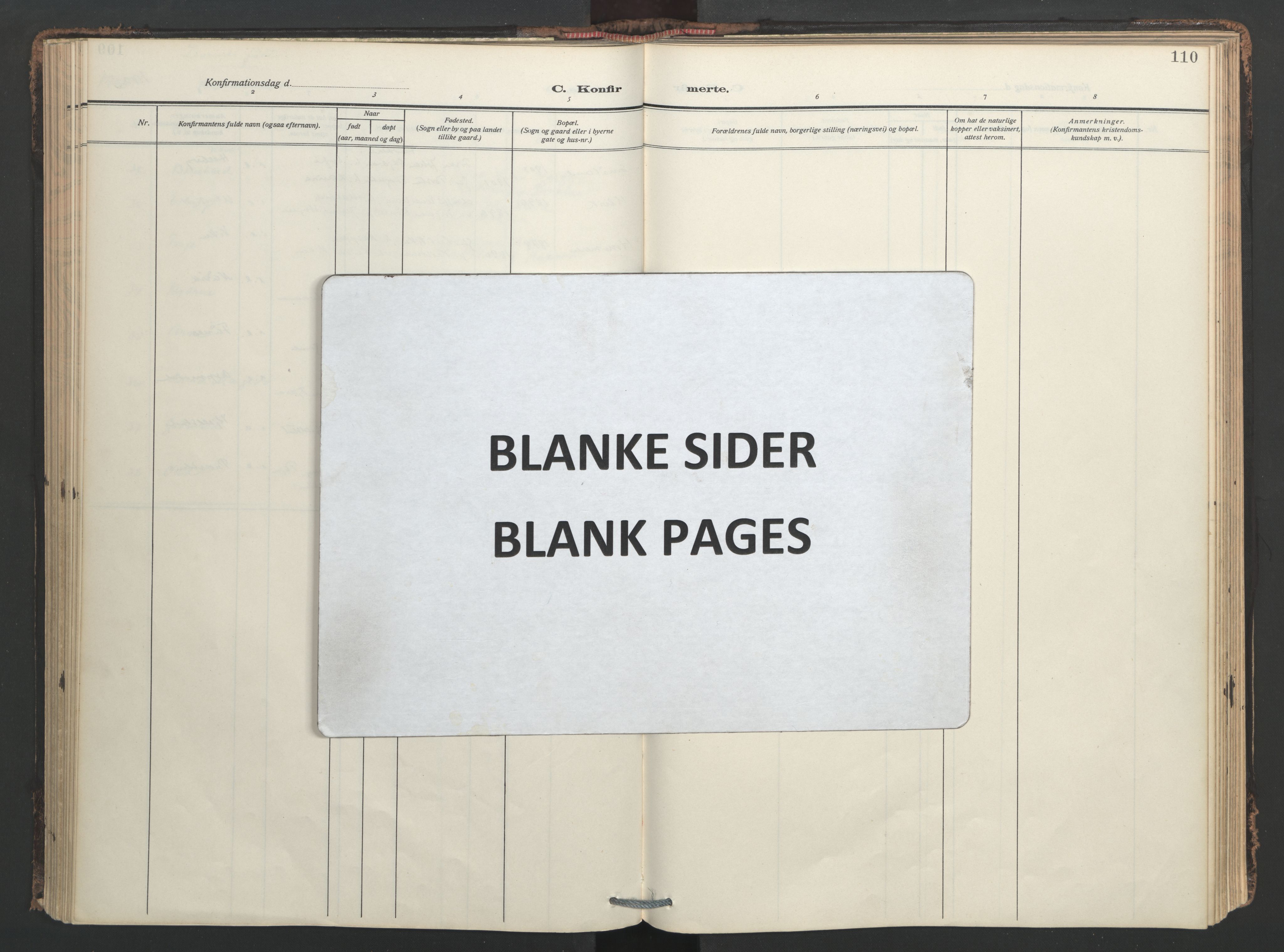 Ministerialprotokoller, klokkerbøker og fødselsregistre - Nord-Trøndelag, SAT/A-1458/713/L0123: Parish register (official) no. 713A12, 1911-1925, p. 110