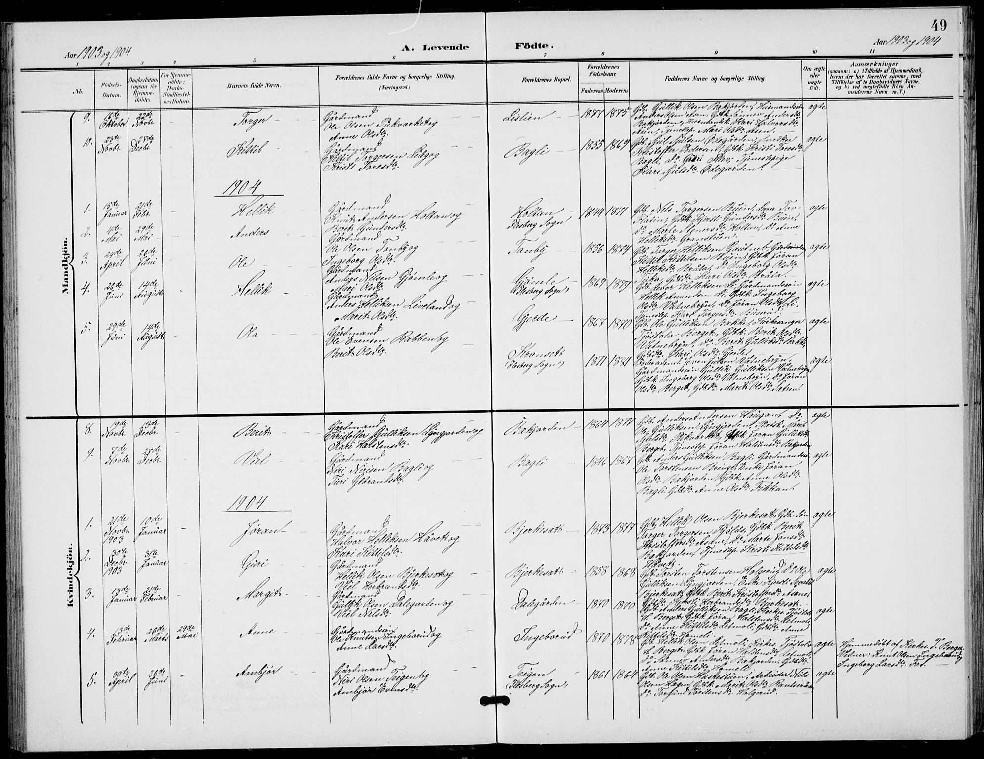 Flesberg kirkebøker, AV/SAKO-A-18/G/Ga/L0005: Parish register (copy) no. I 5, 1899-1908, p. 49