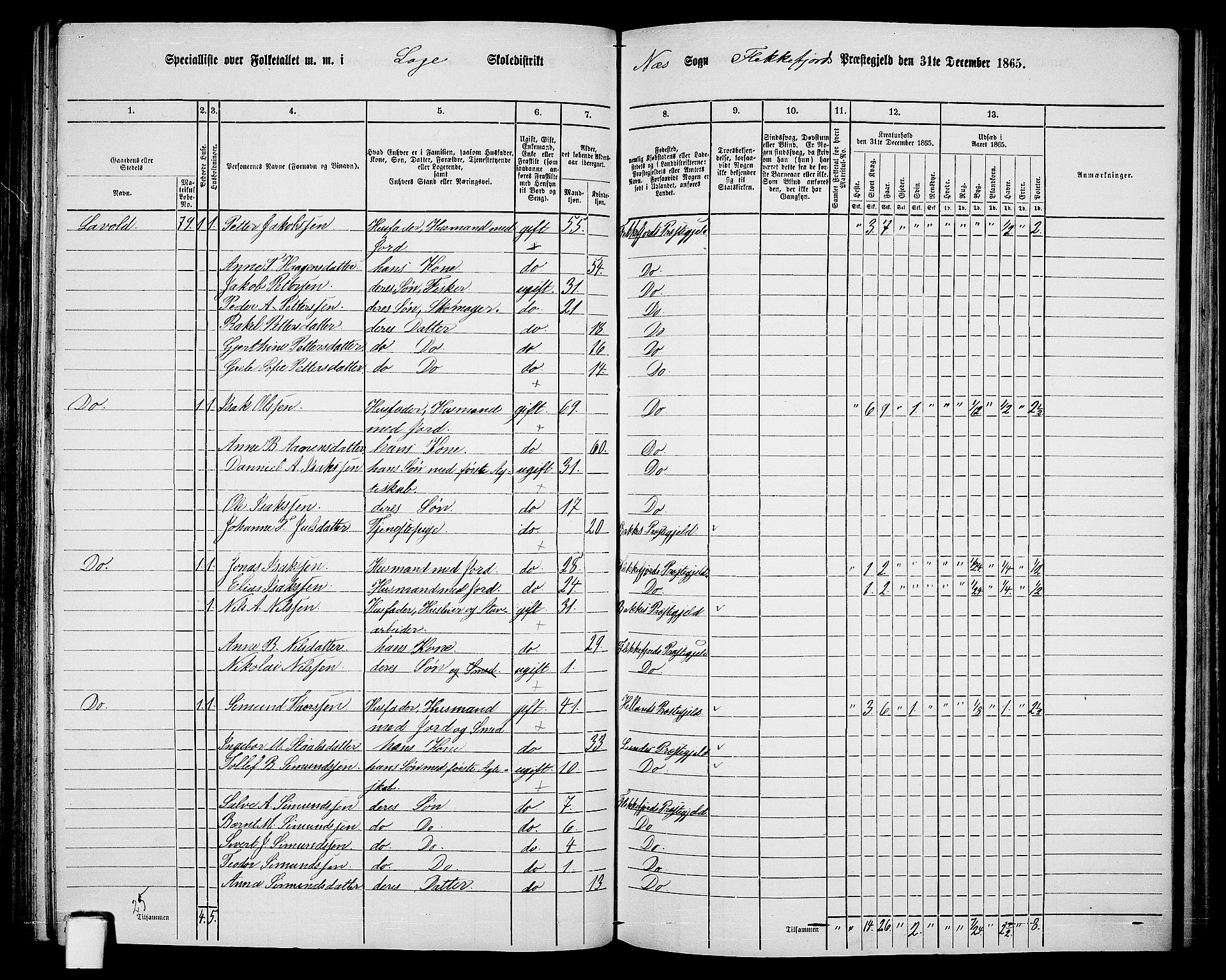 RA, 1865 census for Flekkefjord/Nes og Hidra, 1865, p. 133