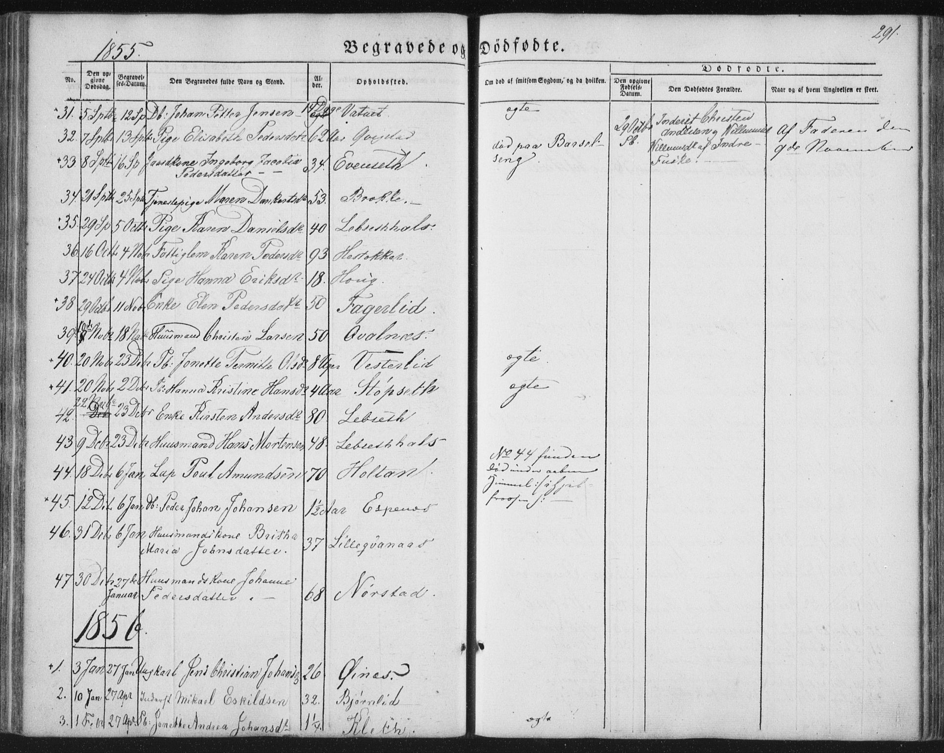 Ministerialprotokoller, klokkerbøker og fødselsregistre - Nordland, AV/SAT-A-1459/852/L0738: Parish register (official) no. 852A08, 1849-1865, p. 291