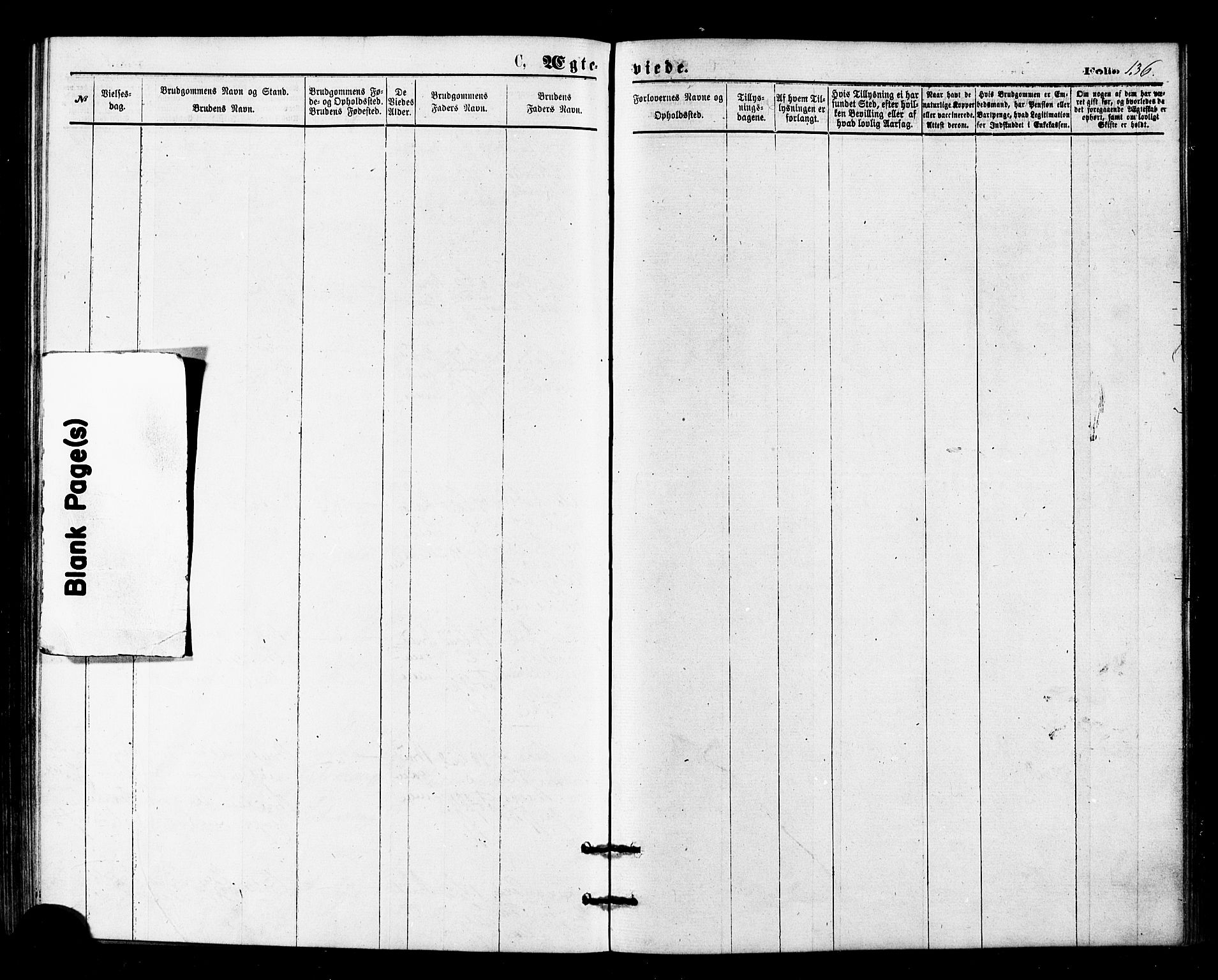 Sør-Varanger sokneprestkontor, AV/SATØ-S-1331/H/Ha/L0002kirke: Parish register (official) no. 2, 1873-1877, p. 136