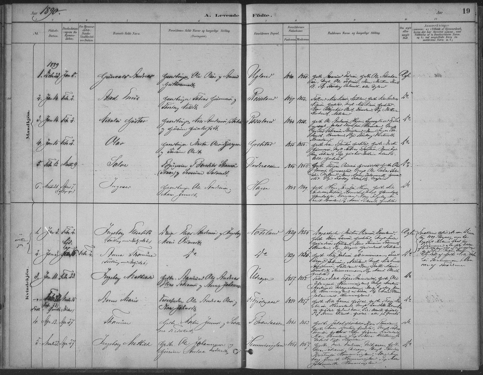 Søgne sokneprestkontor, SAK/1111-0037/F/Fa/Faa/L0003: Parish register (official) no. A 3, 1883-1910, p. 19