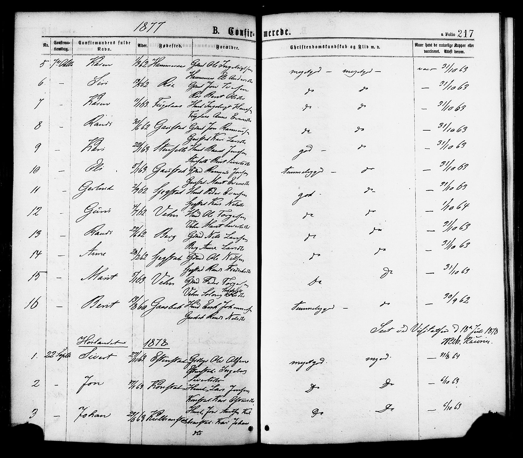 Ministerialprotokoller, klokkerbøker og fødselsregistre - Sør-Trøndelag, AV/SAT-A-1456/691/L1079: Parish register (official) no. 691A11, 1873-1886, p. 217