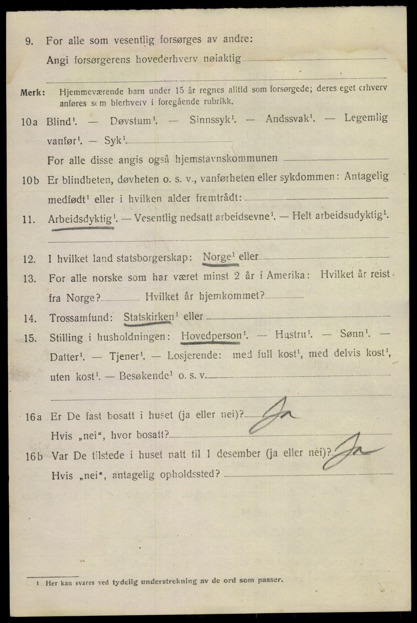SAKO, 1920 census for Notodden, 1920, p. 11529
