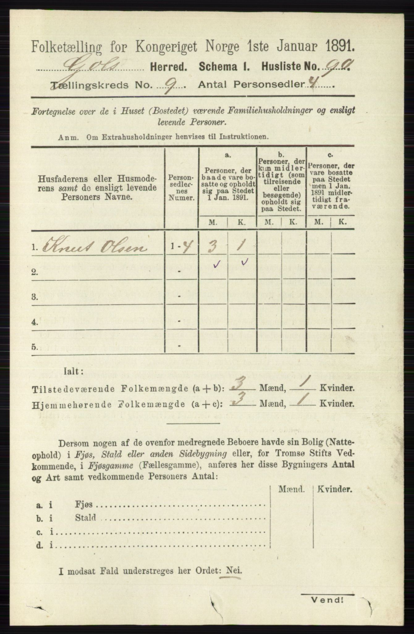 RA, 1891 census for 0617 Gol og Hemsedal, 1891, p. 3389