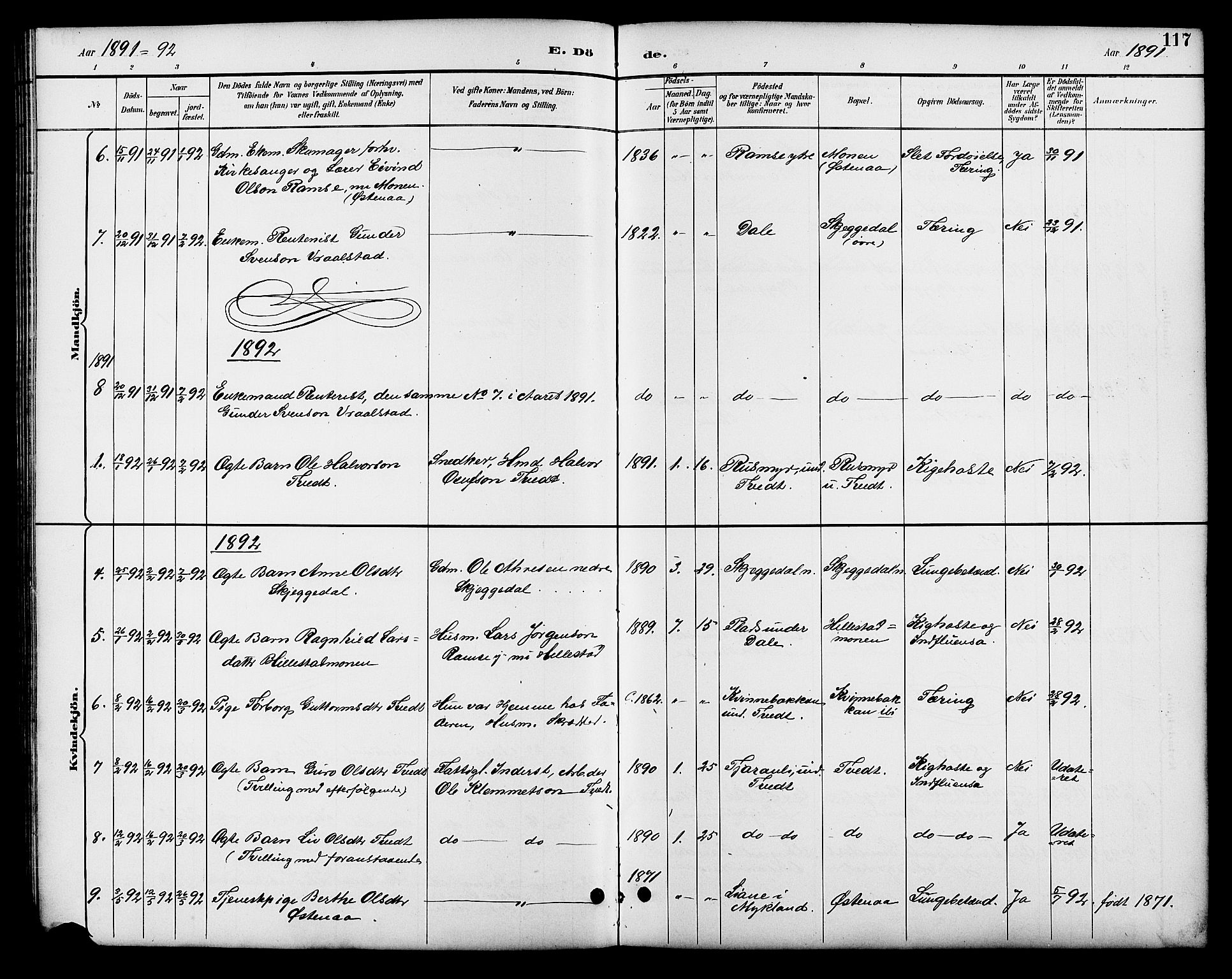 Åmli sokneprestkontor, SAK/1111-0050/F/Fb/Fbb/L0002: Parish register (copy) no. B 2, 1890-1905, p. 117