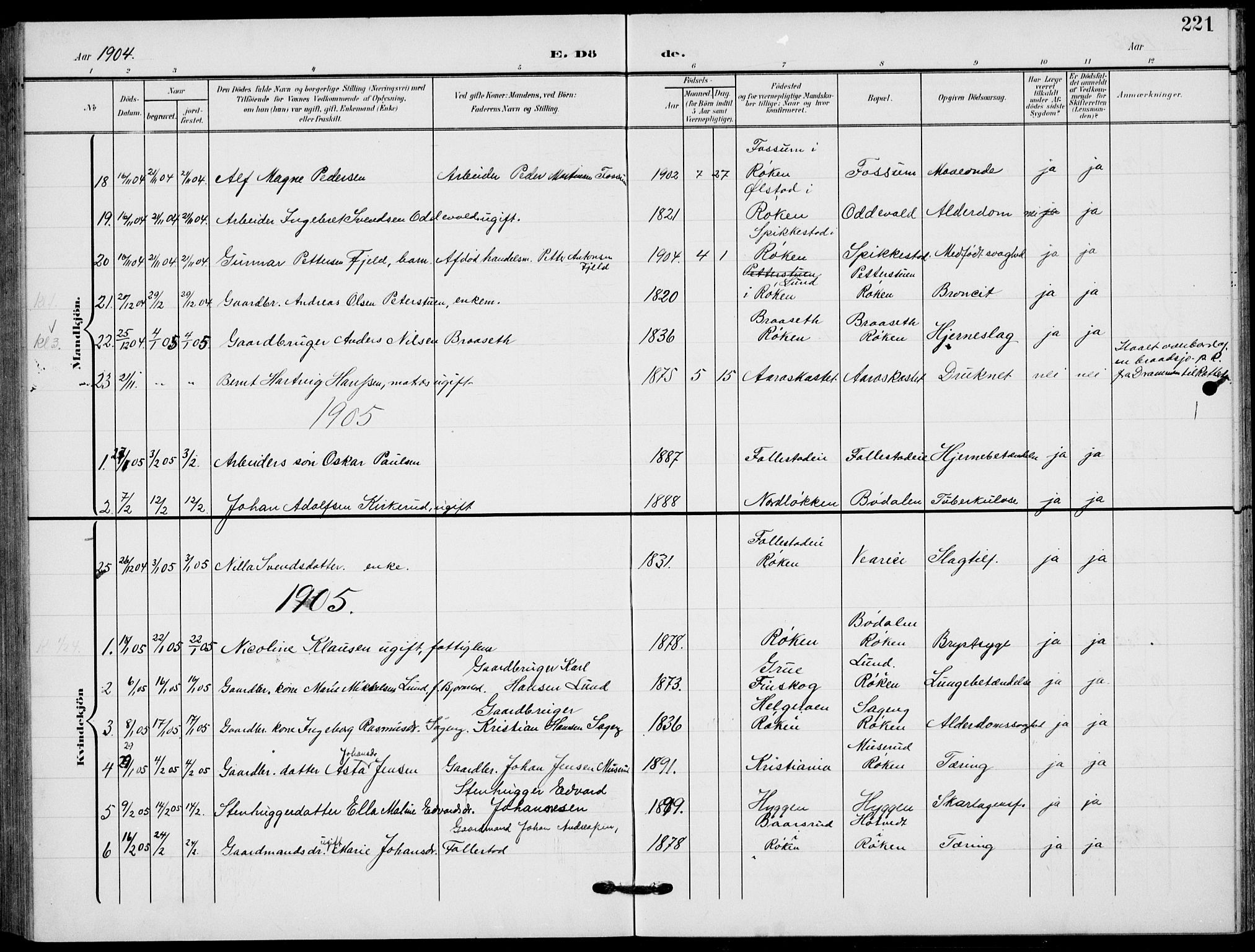 Røyken kirkebøker, AV/SAKO-A-241/G/Ga/L0005: Parish register (copy) no. 5, 1903-1918, p. 221