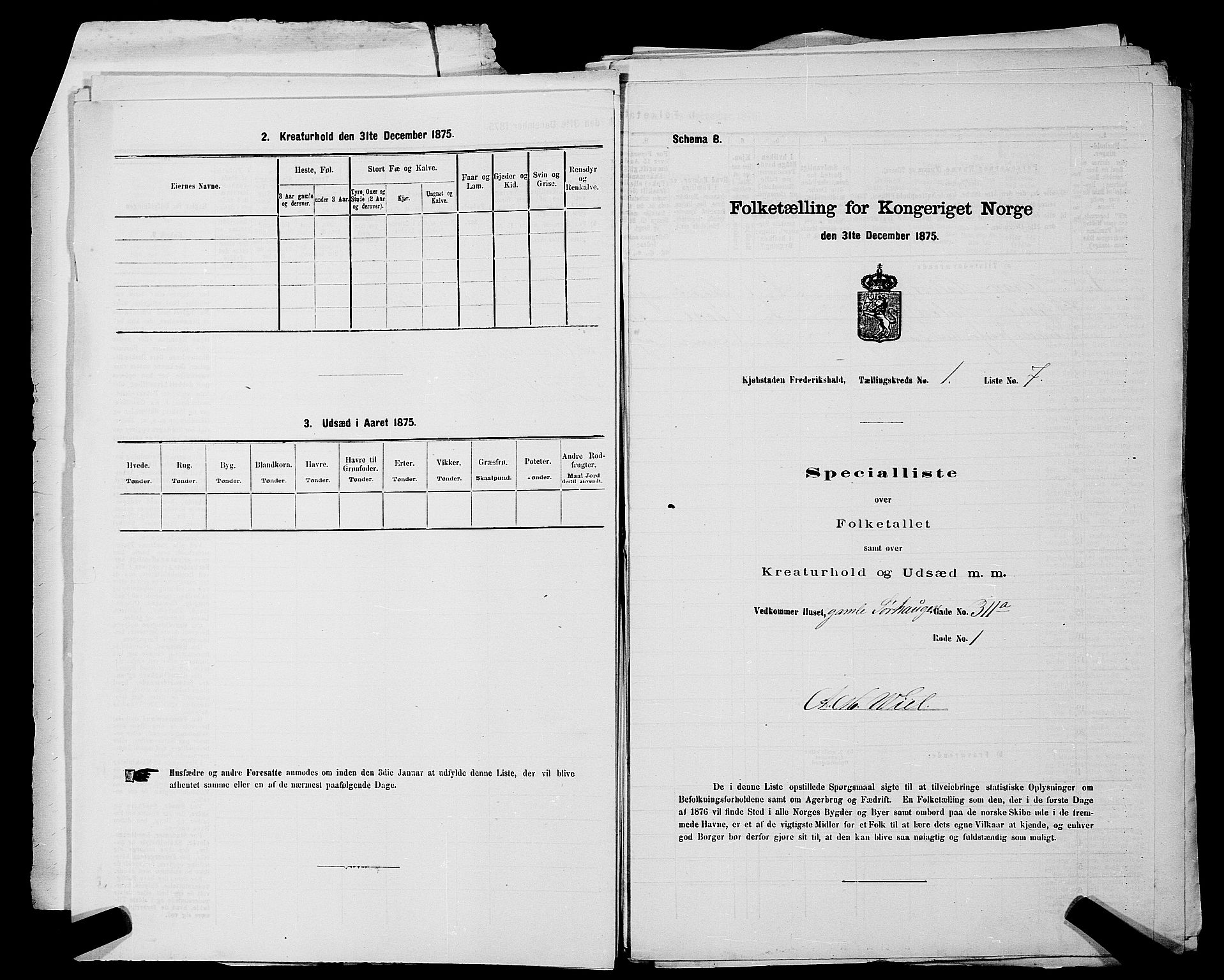 RA, 1875 census for 0101P Fredrikshald, 1875, p. 25