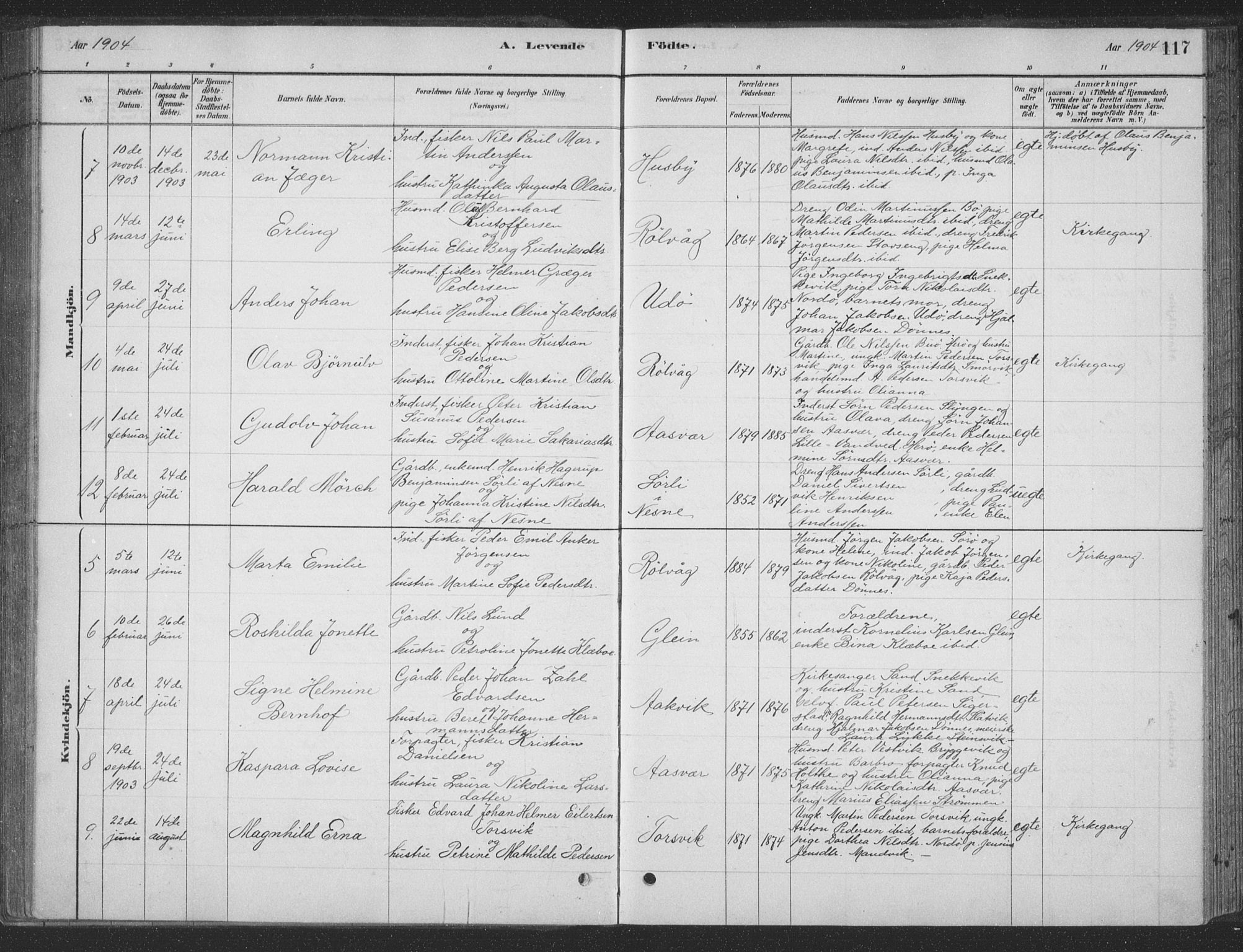 Ministerialprotokoller, klokkerbøker og fødselsregistre - Nordland, SAT/A-1459/835/L0532: Parish register (copy) no. 835C04, 1880-1905, p. 117