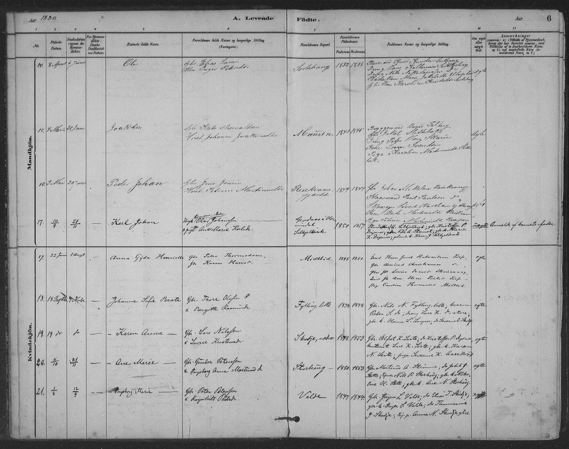 Ministerialprotokoller, klokkerbøker og fødselsregistre - Møre og Romsdal, AV/SAT-A-1454/524/L0356: Parish register (official) no. 524A08, 1880-1899, p. 6